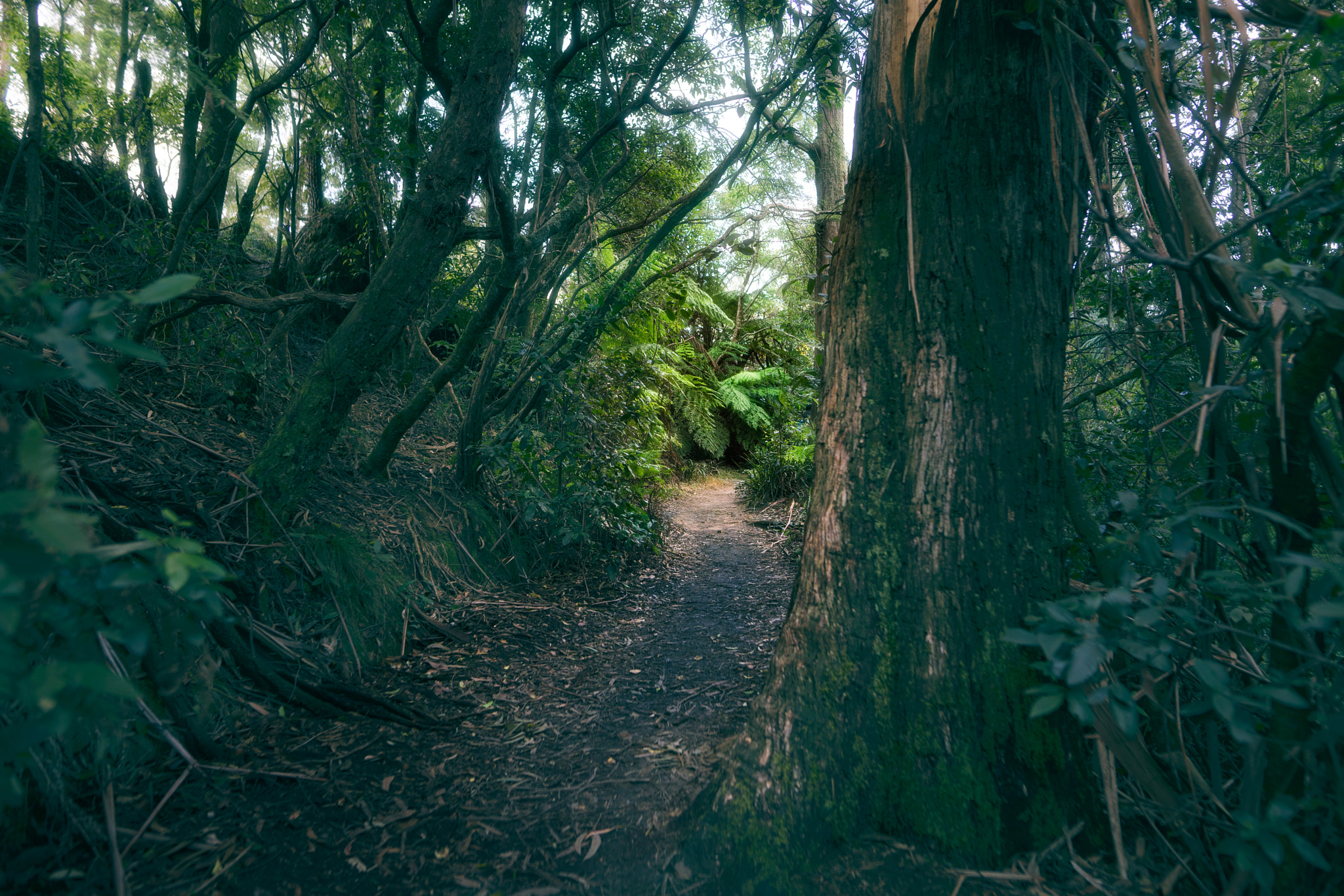 Sigma 24mm F1.4 DG HSM Art sample photo. Entrance photography