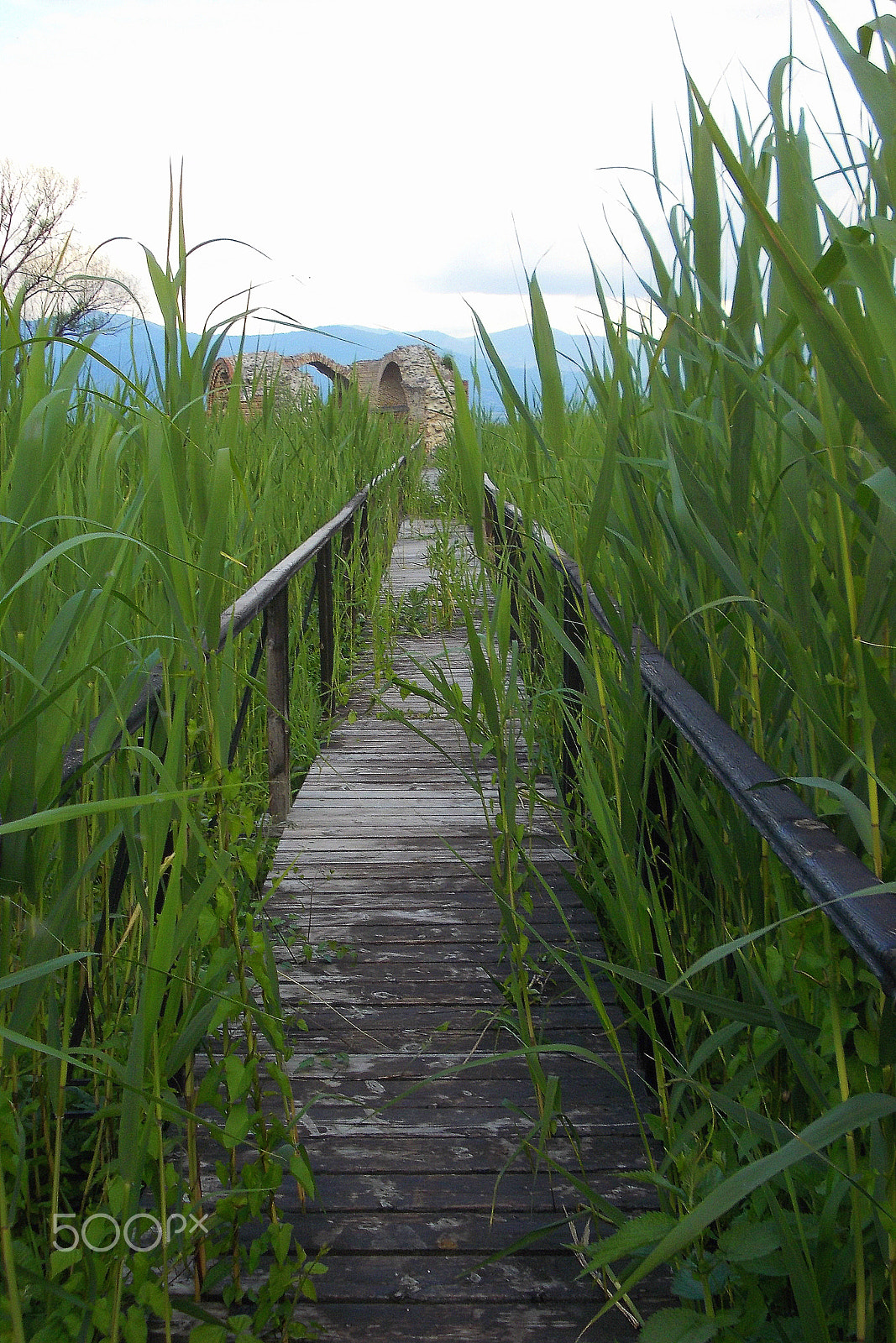 Nikon COOLPIX L25 sample photo. Old greek church photography