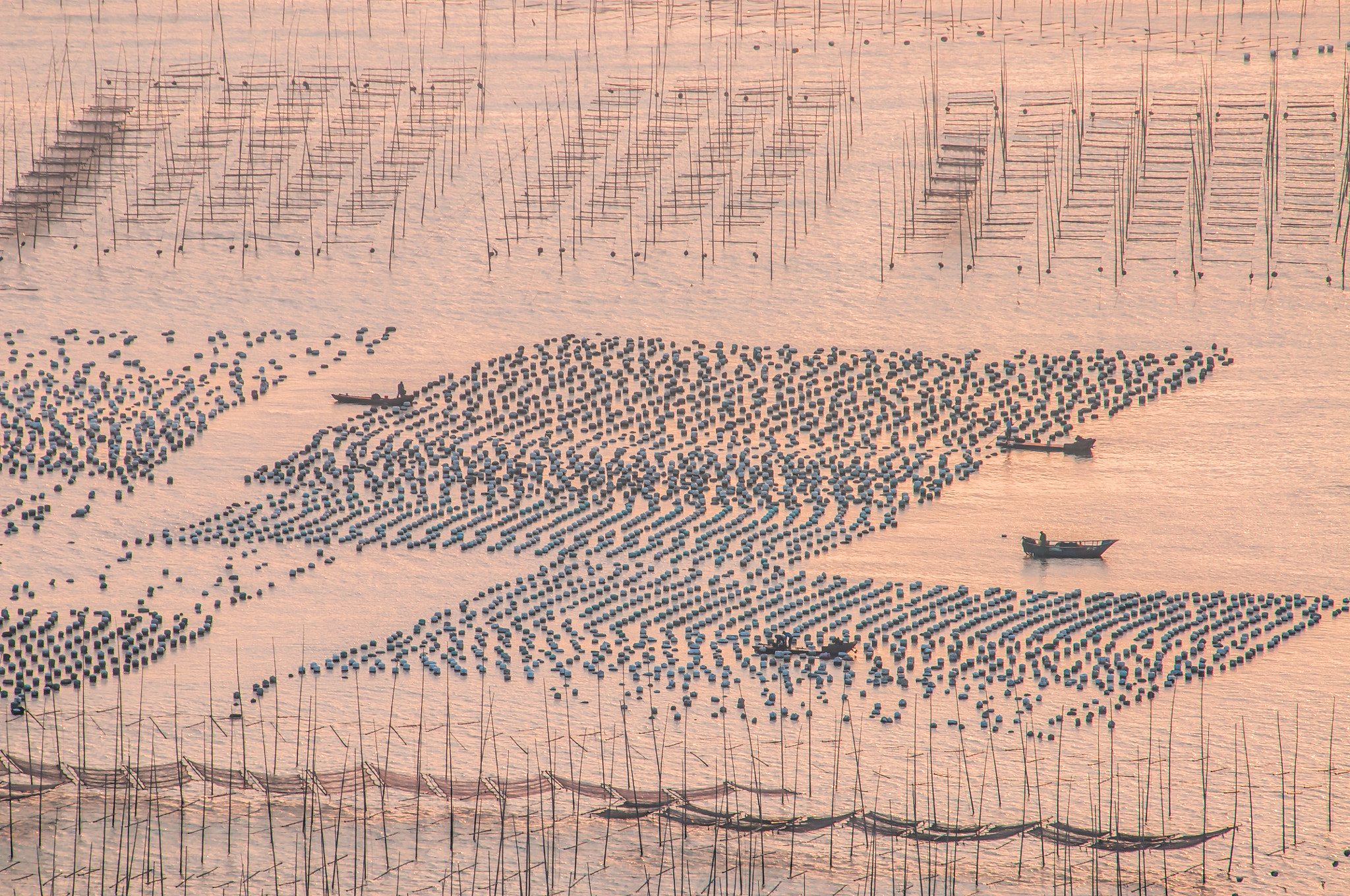 Nikon D300S sample photo. Fish farm photography