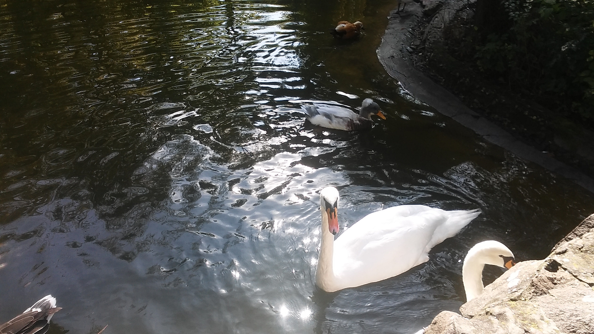 LG LEON 4G LTE sample photo. 20151025_110103.jpg photography