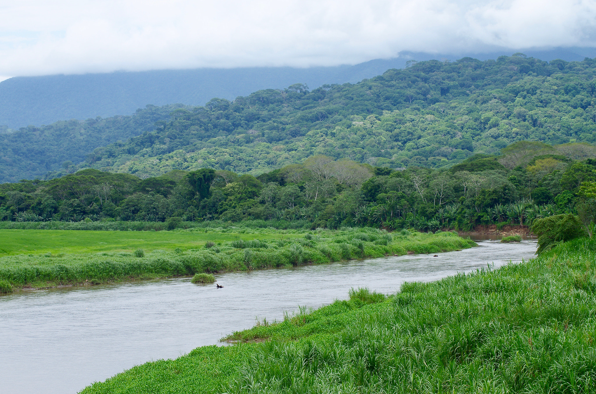 Tamron AF 70-300mm F4-5.6 Di LD Macro sample photo. The river tarcoles photography