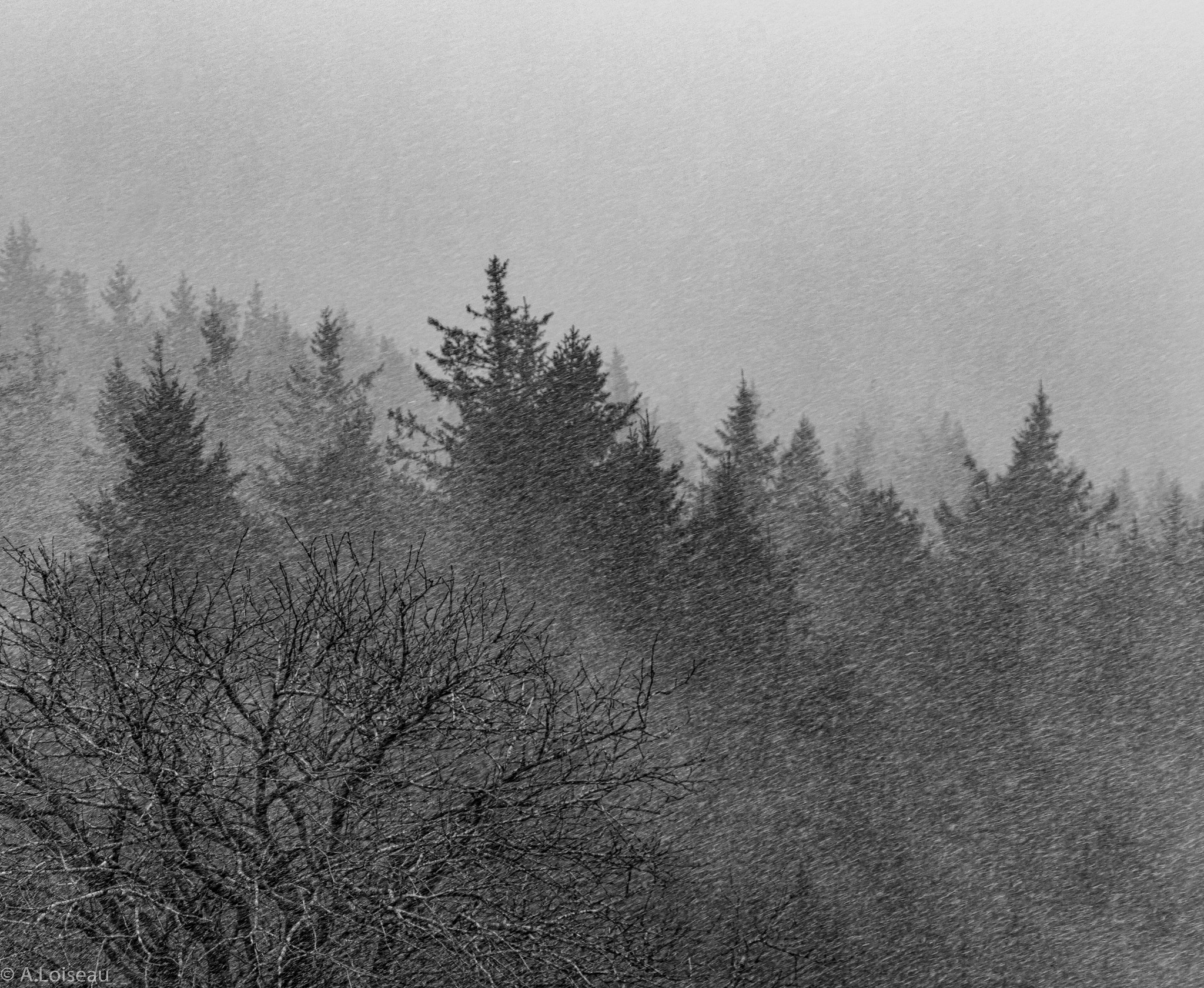 Pentax smc DA* 60-250mm F4.0 ED (IF) SDM sample photo. In the storm photography