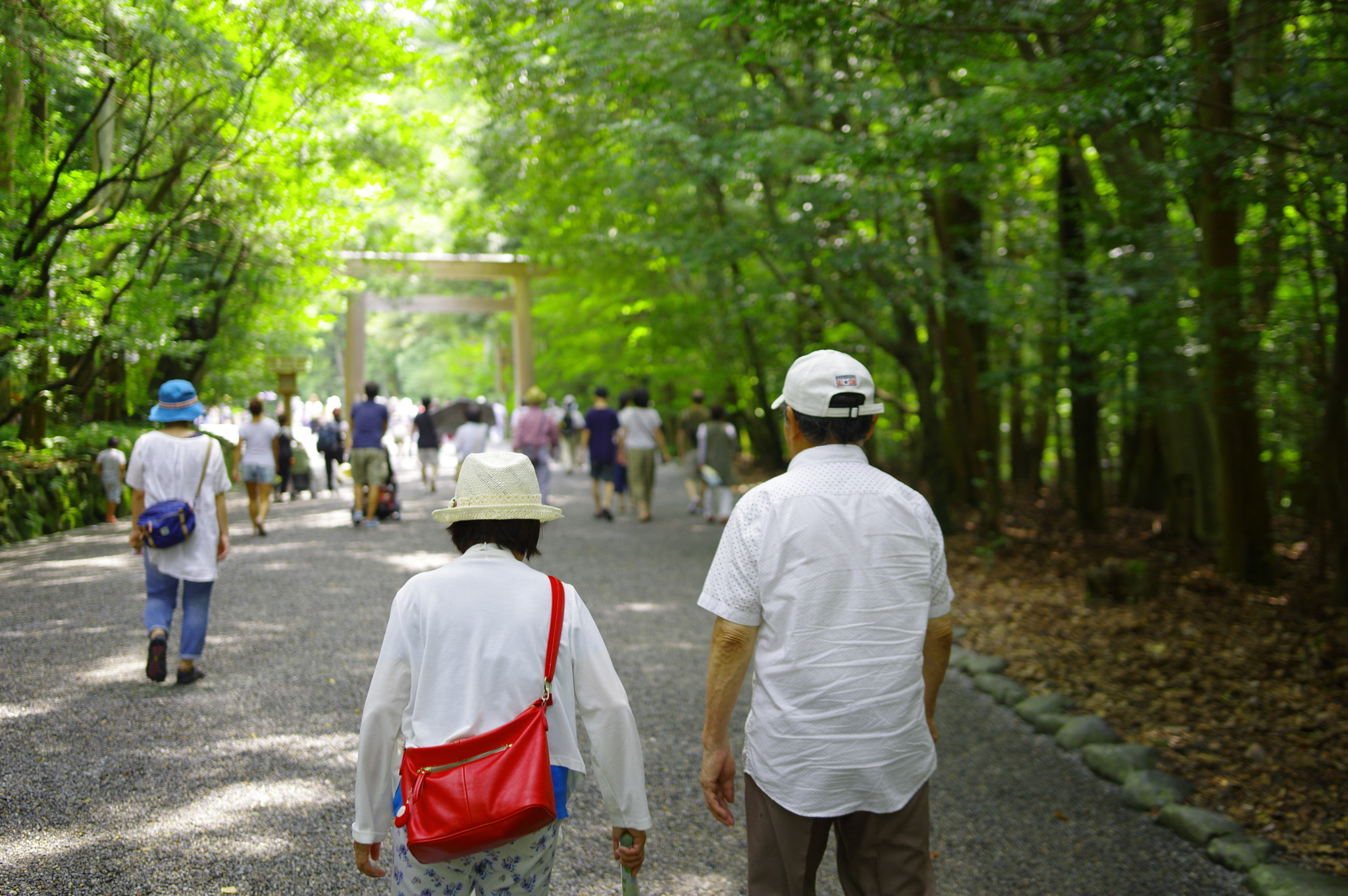 Pentax K-3 + Sigma 18-35mm F1.8 DC HSM Art sample photo