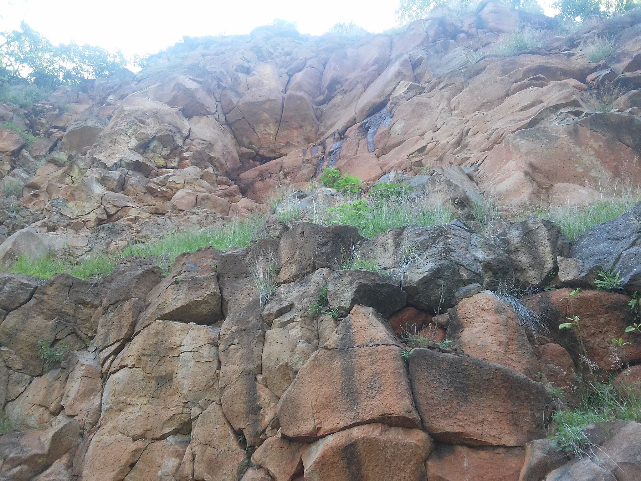 LG L70 sample photo. Firmeza photography