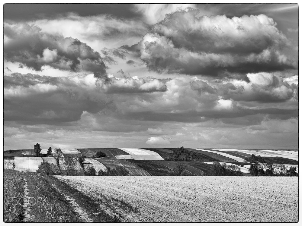 Pentax K-5 II sample photo. Clouds and field photography