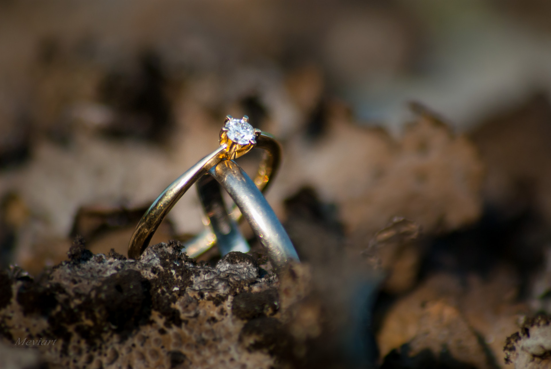 Sigma 70-300mm F4-5.6 APO DG Macro sample photo. Rings on the lichen photography