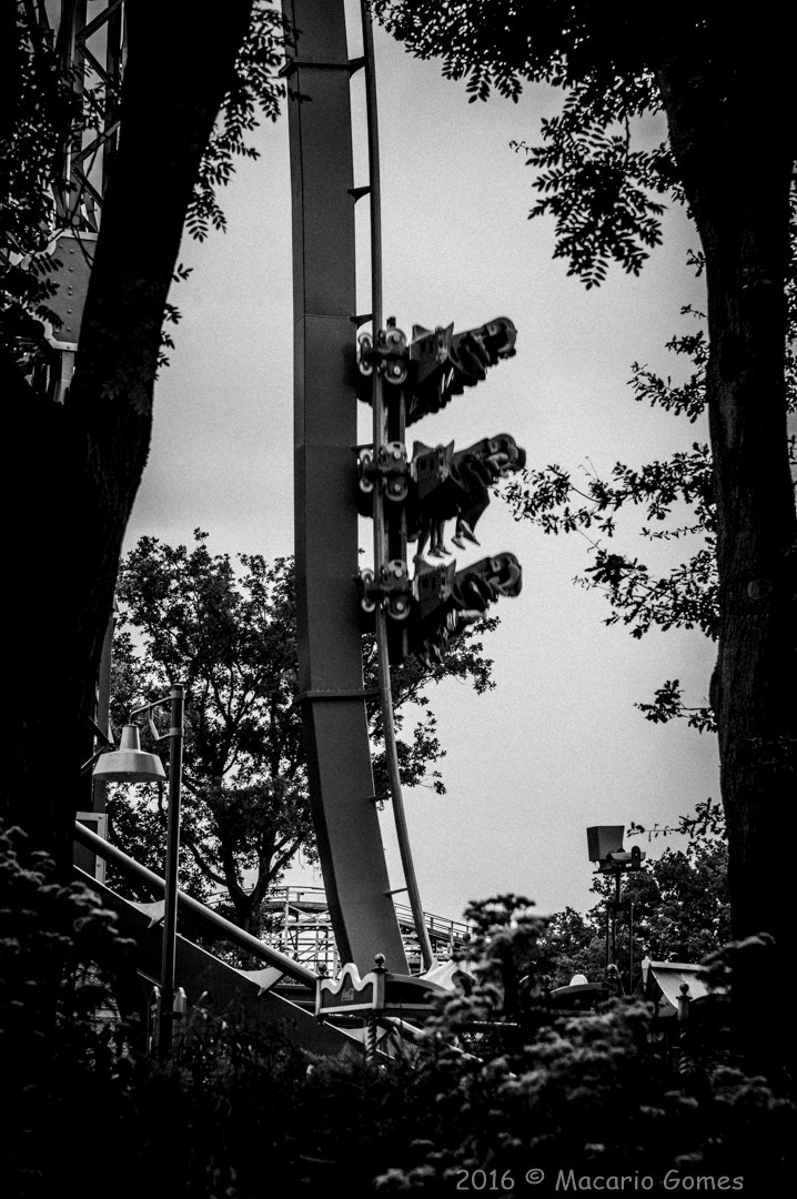 Tamron AF 28-75mm F2.8 XR Di LD Aspherical (IF) sample photo. Going down photography