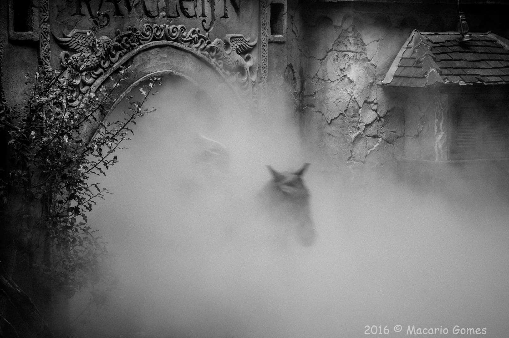 Tamron AF 28-75mm F2.8 XR Di LD Aspherical (IF) sample photo. Misty photography