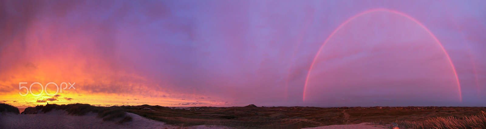 Tokina AT-X Pro 12-24mm F4 (IF) DX sample photo. In the dunes of danmark photography