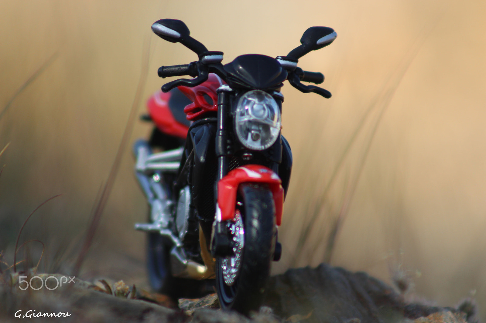 Canon EF 75-300mm f/4-5.6 USM sample photo. Off road animal photography