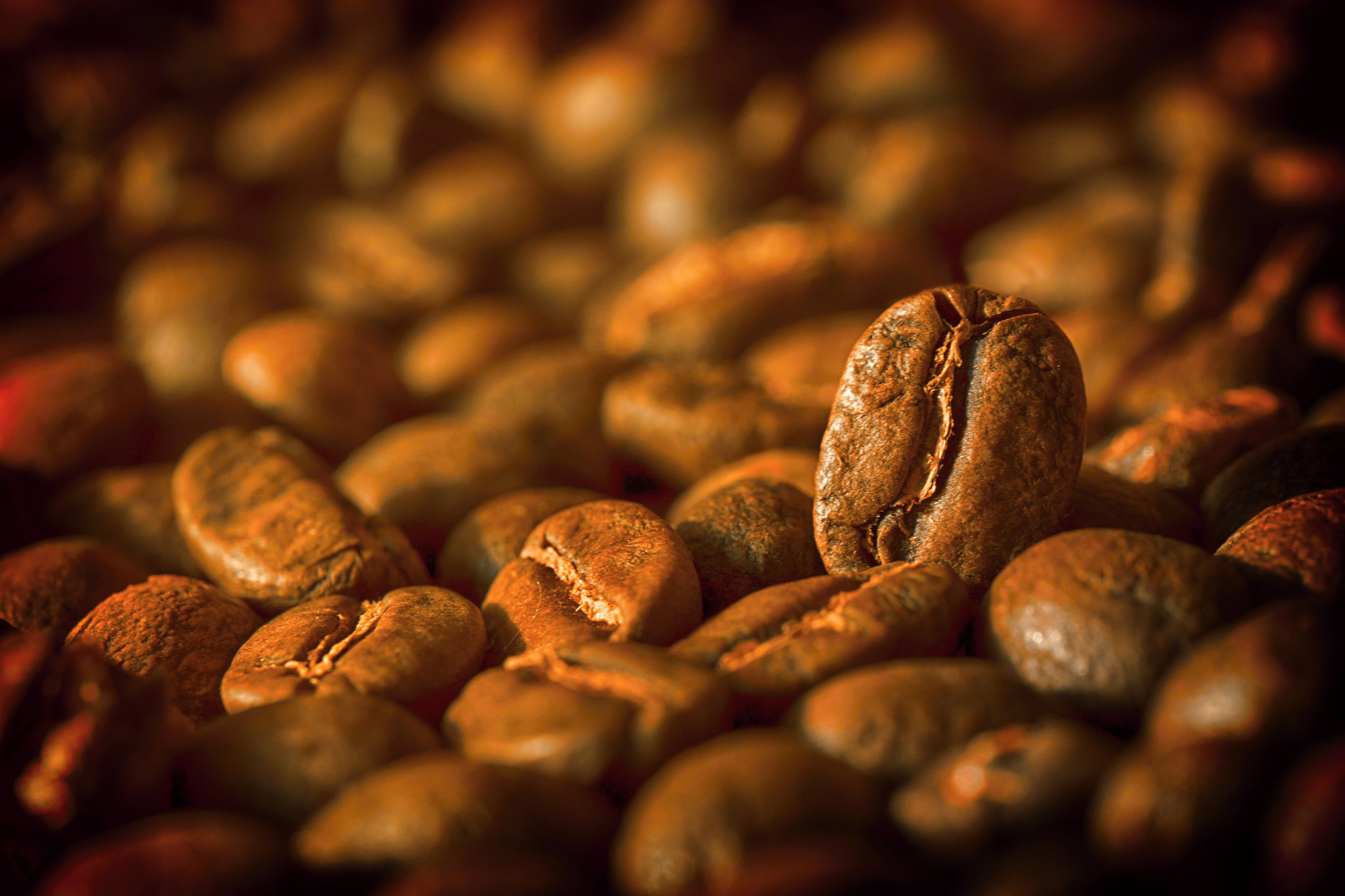 Sony SLT-A77 + Tamron Lens (255) sample photo. Coffee photography
