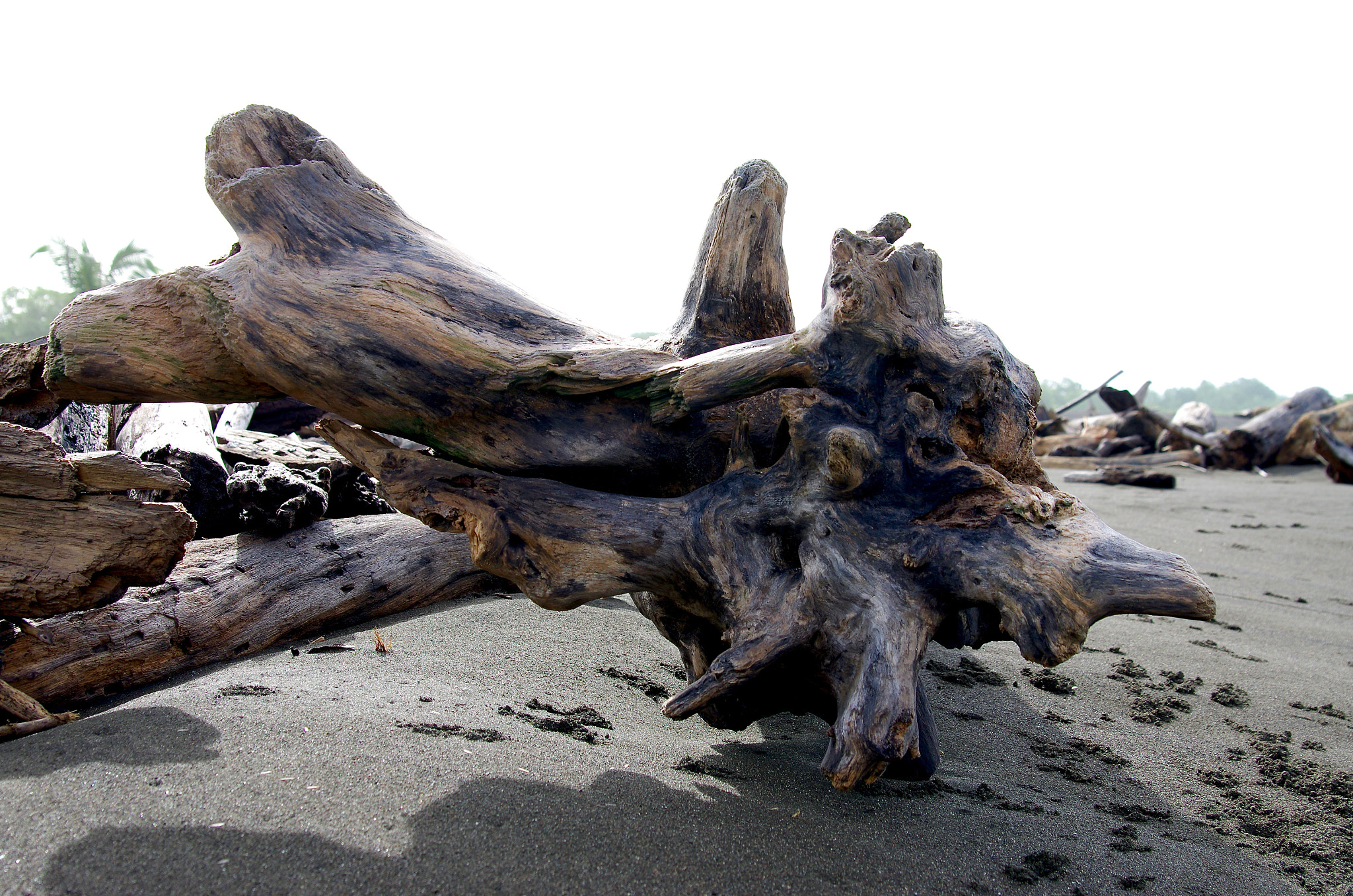 Pentax K-5 II sample photo. Driftwood on playa hermosa photography