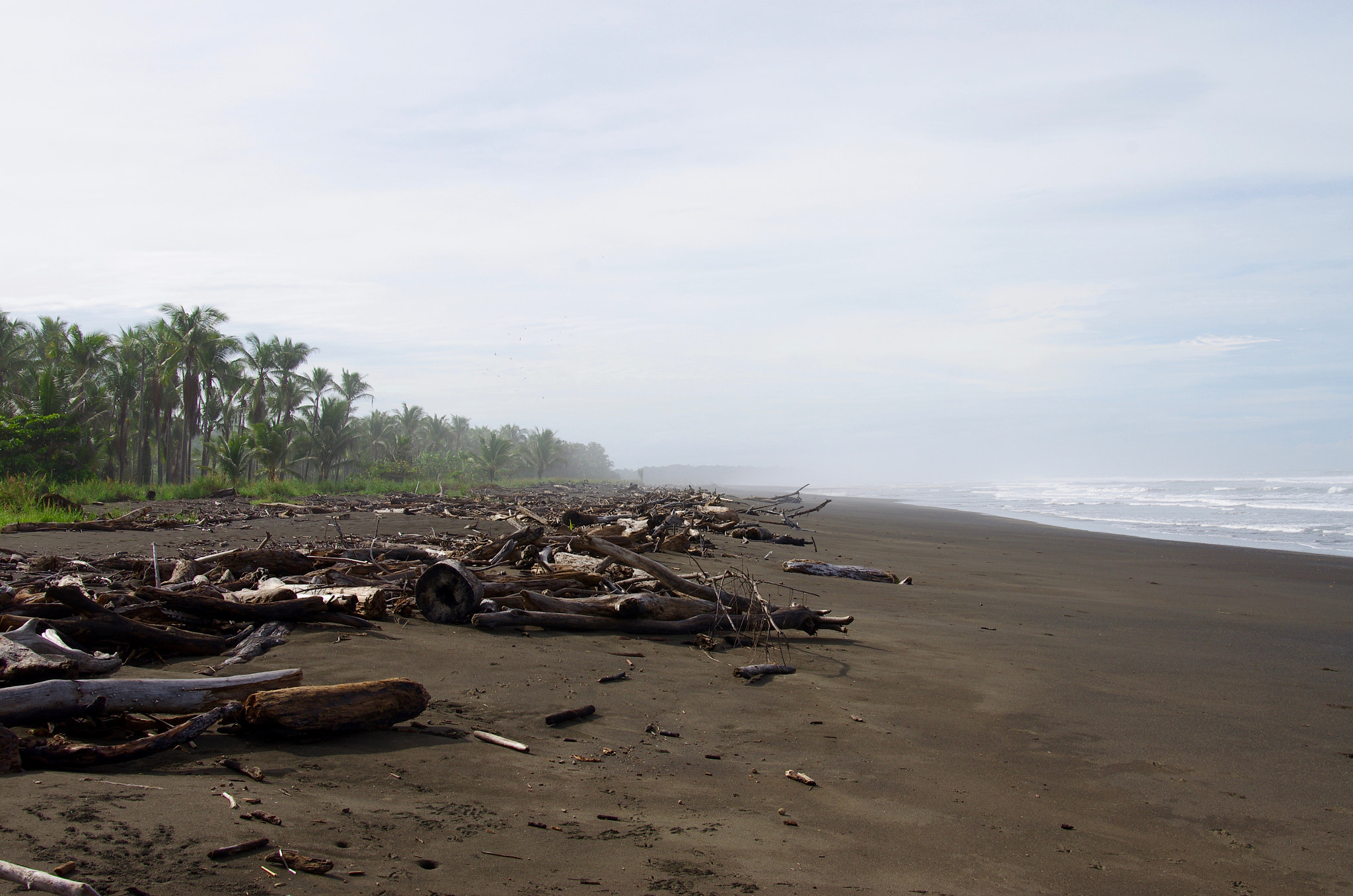 Pentax K-5 II sample photo. Driftwood on playa hermosa photography