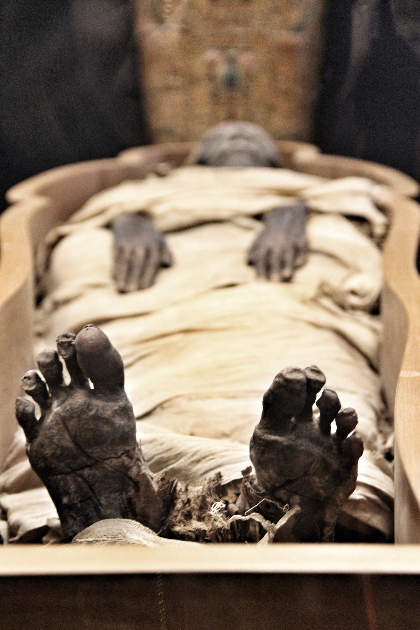 Canon EF-S 18-135mm F3.5-5.6 IS sample photo. Mummy... musei vaticani -rome photography