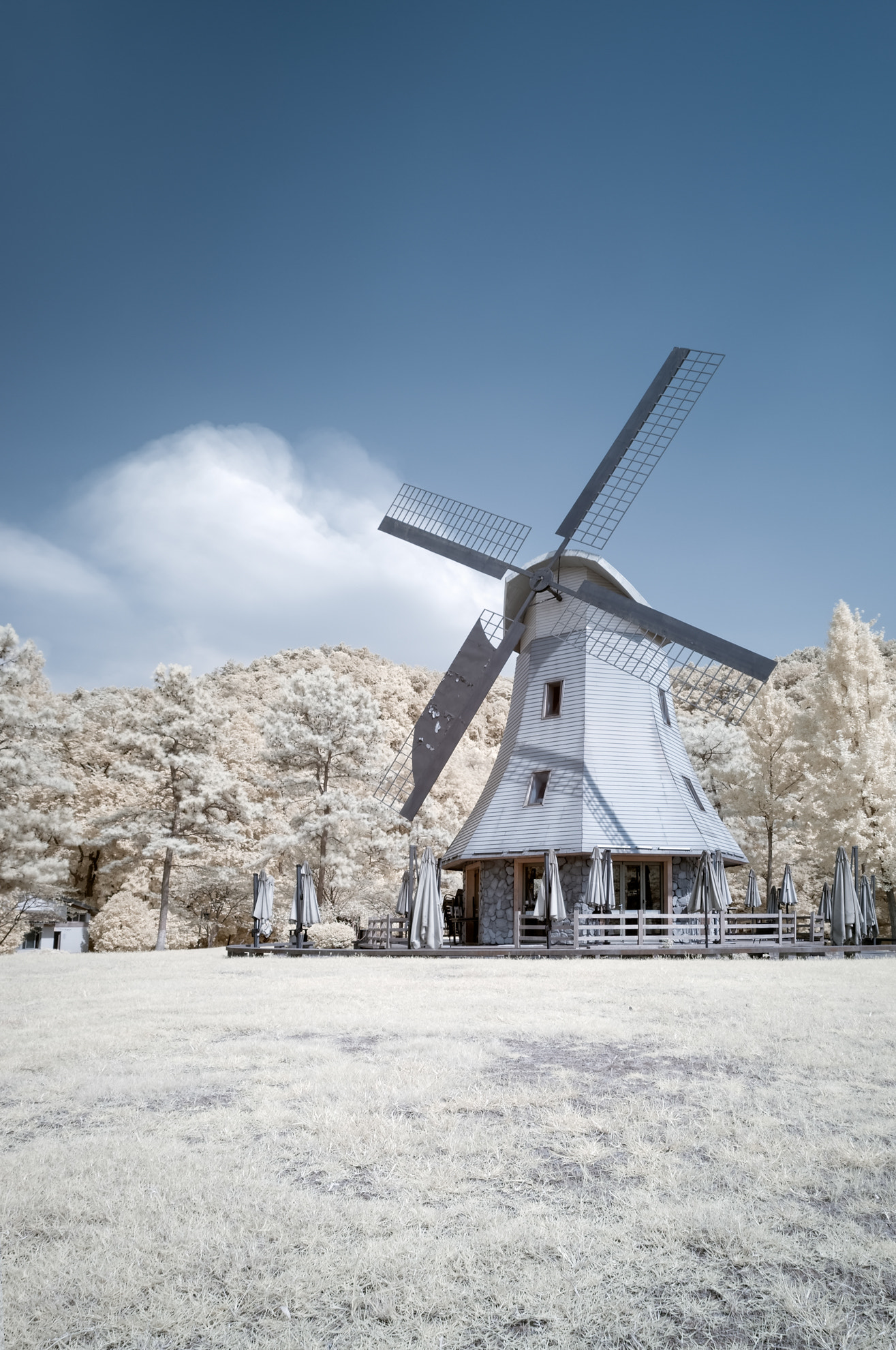 Nikon D300S sample photo. Ir view photography
