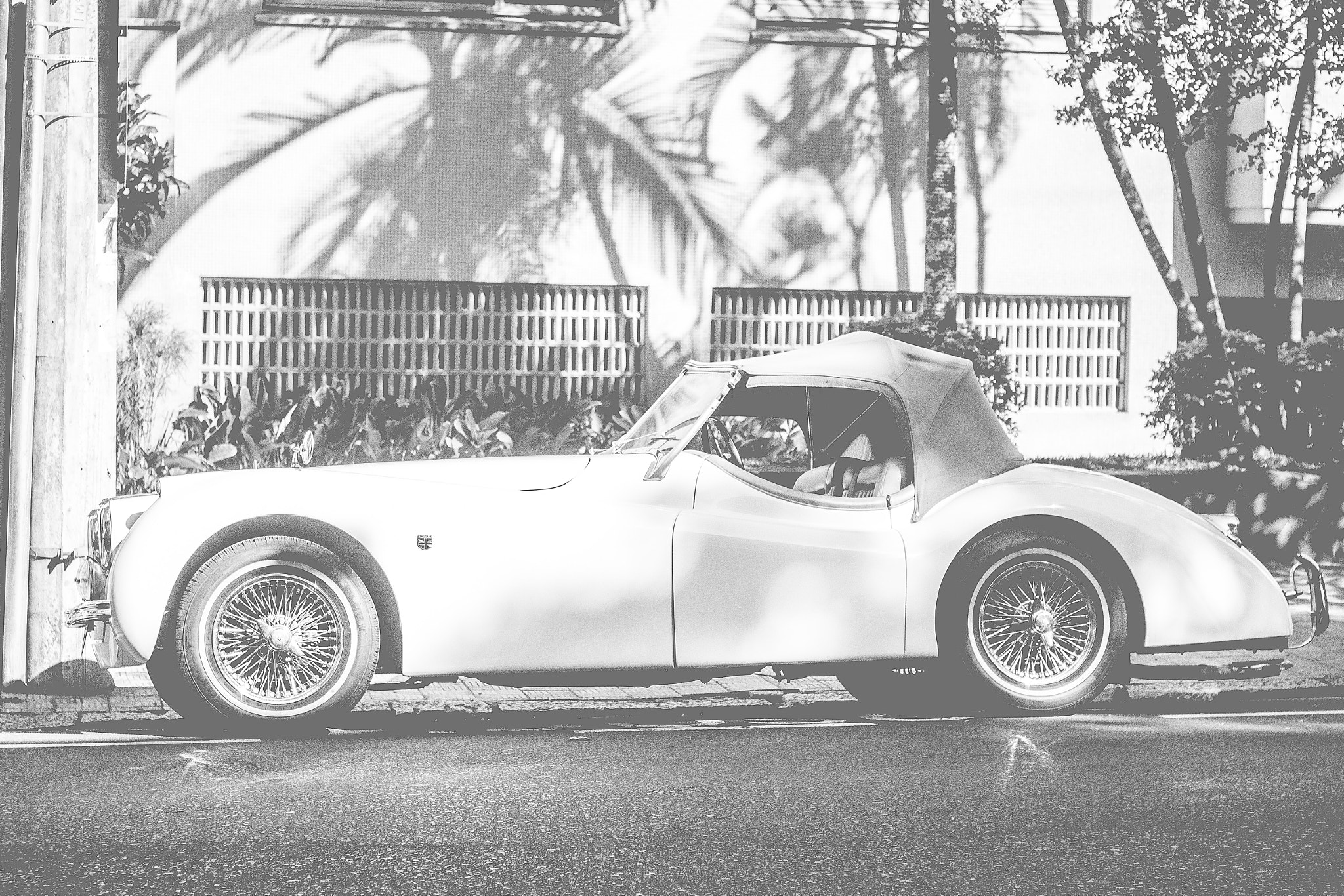 Canon EOS 600D (Rebel EOS T3i / EOS Kiss X5) + Canon EF 50mm F1.8 II sample photo. Old car photography