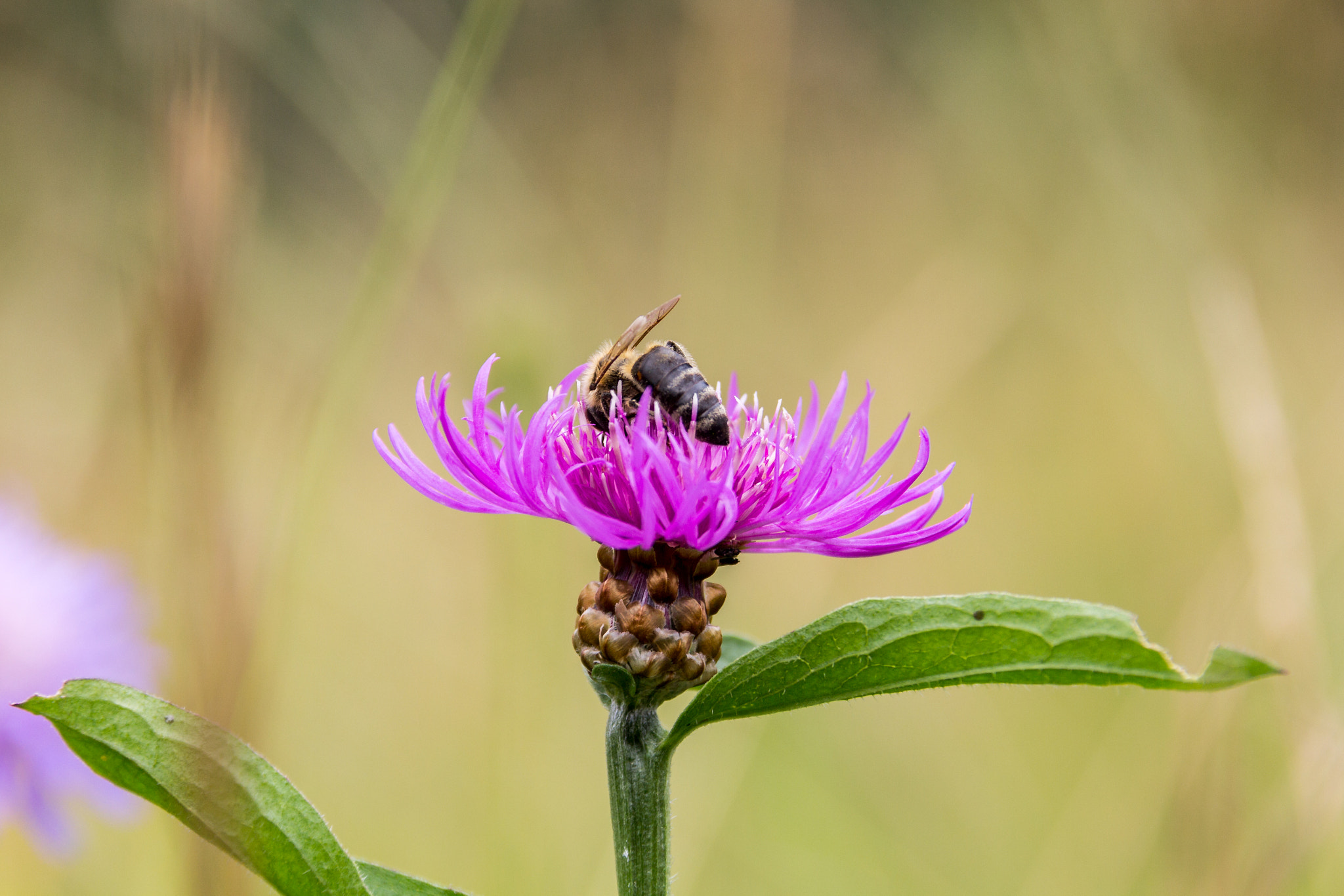 Sigma 18-200mm f/3.5-6.3 DC OS sample photo. Landing zone photography