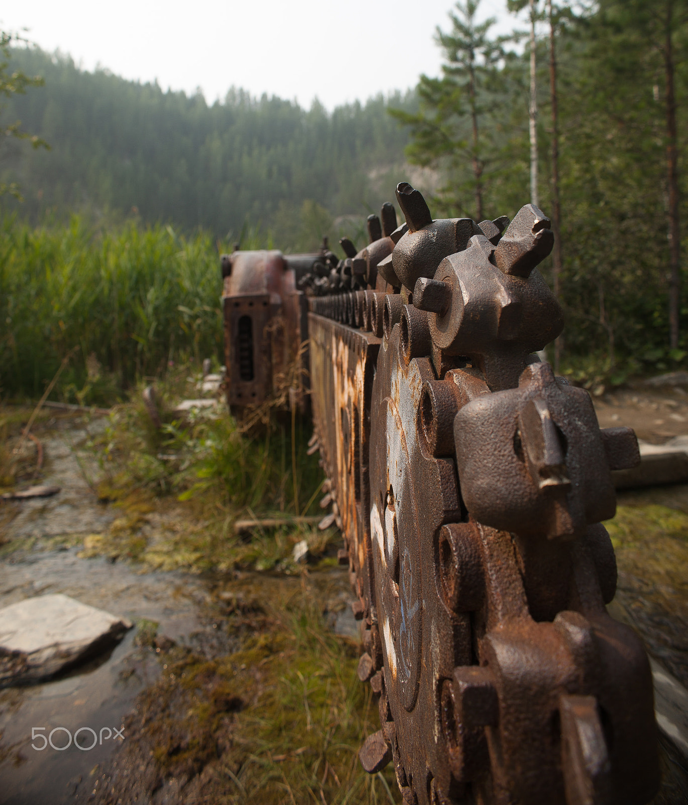 Canon EF-S 18-55mm F3.5-5.6 IS sample photo. Chain saw photography