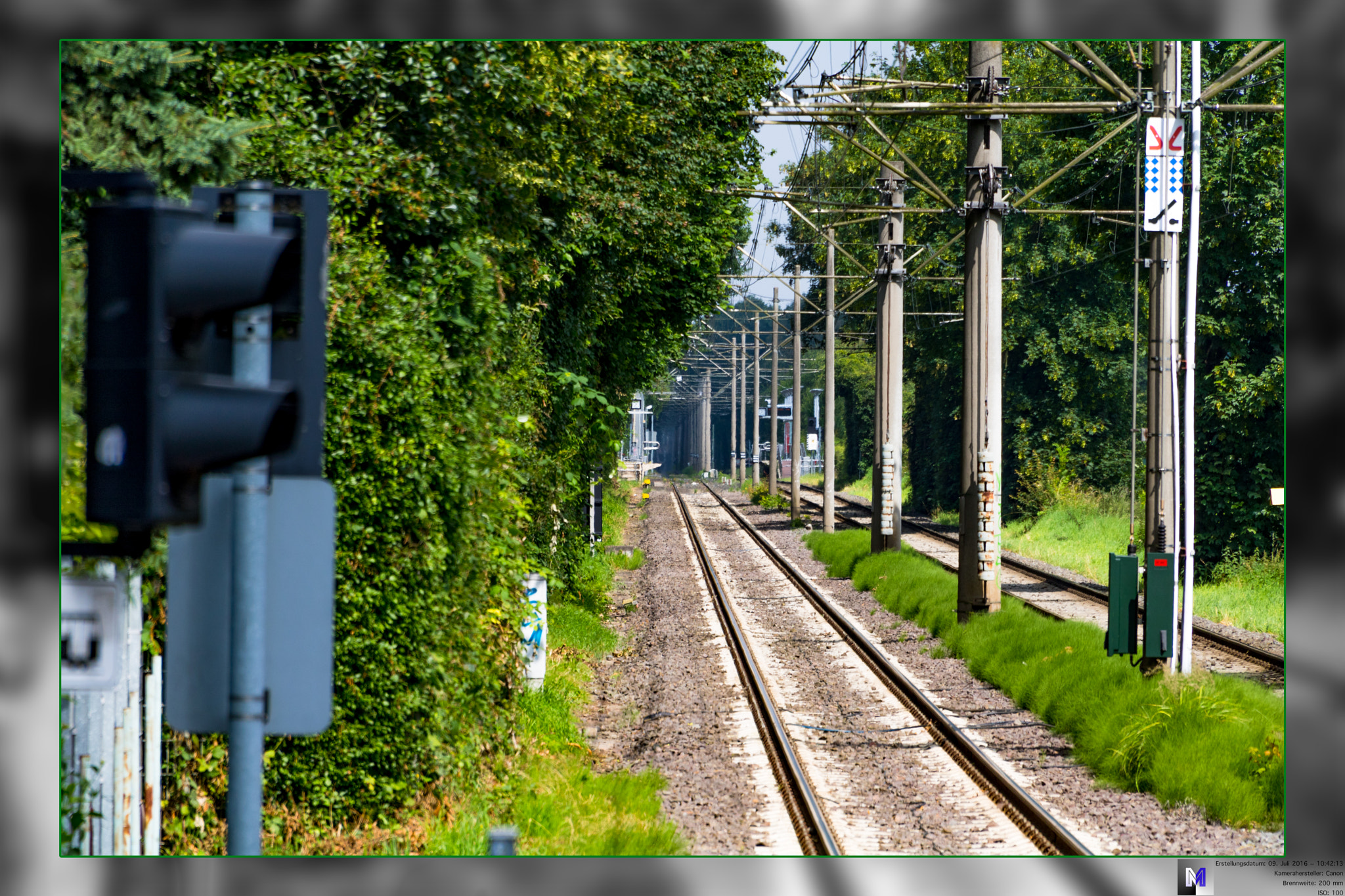 Canon EOS 760D (EOS Rebel T6s / EOS 8000D) sample photo. Subway vs. nature photography
