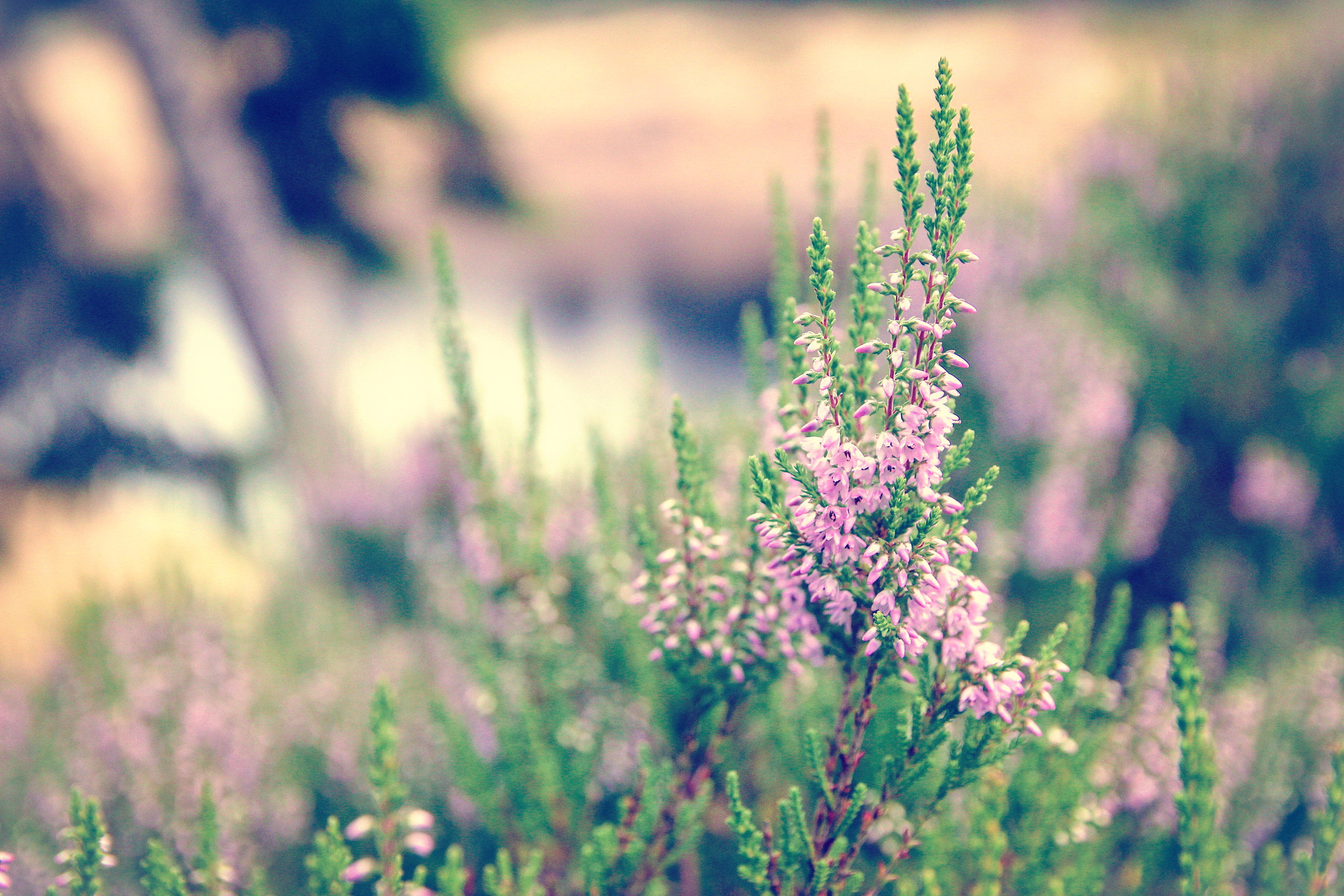 Canon 17-50mm sample photo. It was a beauty sunny day photography