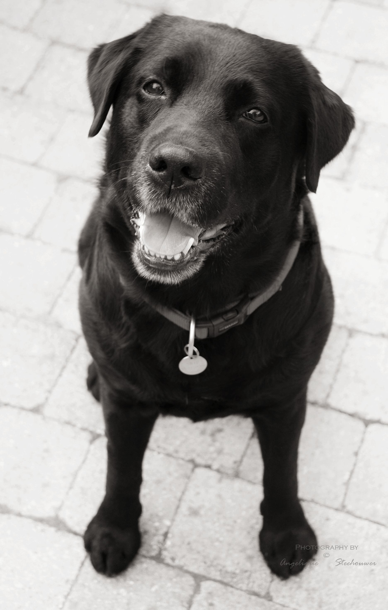 Nikon D40 sample photo. Happy photography