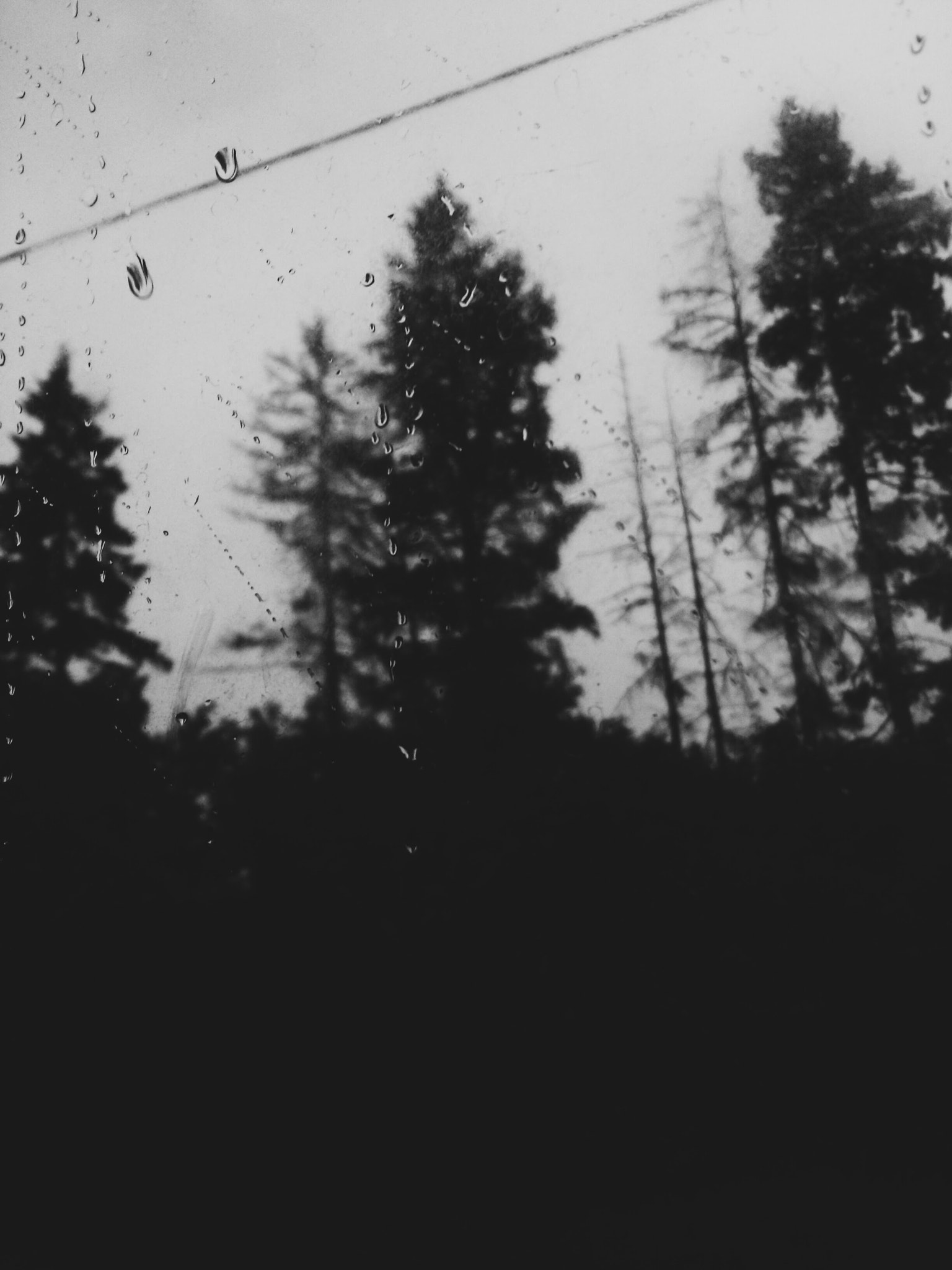 LG Optimus G sample photo. Untitled photography