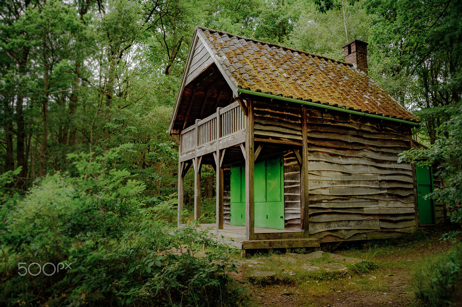 Nikon D5200 + Sigma 18-200mm F3.5-6.3 DC OS HSM sample photo. Cabin in the woods photography