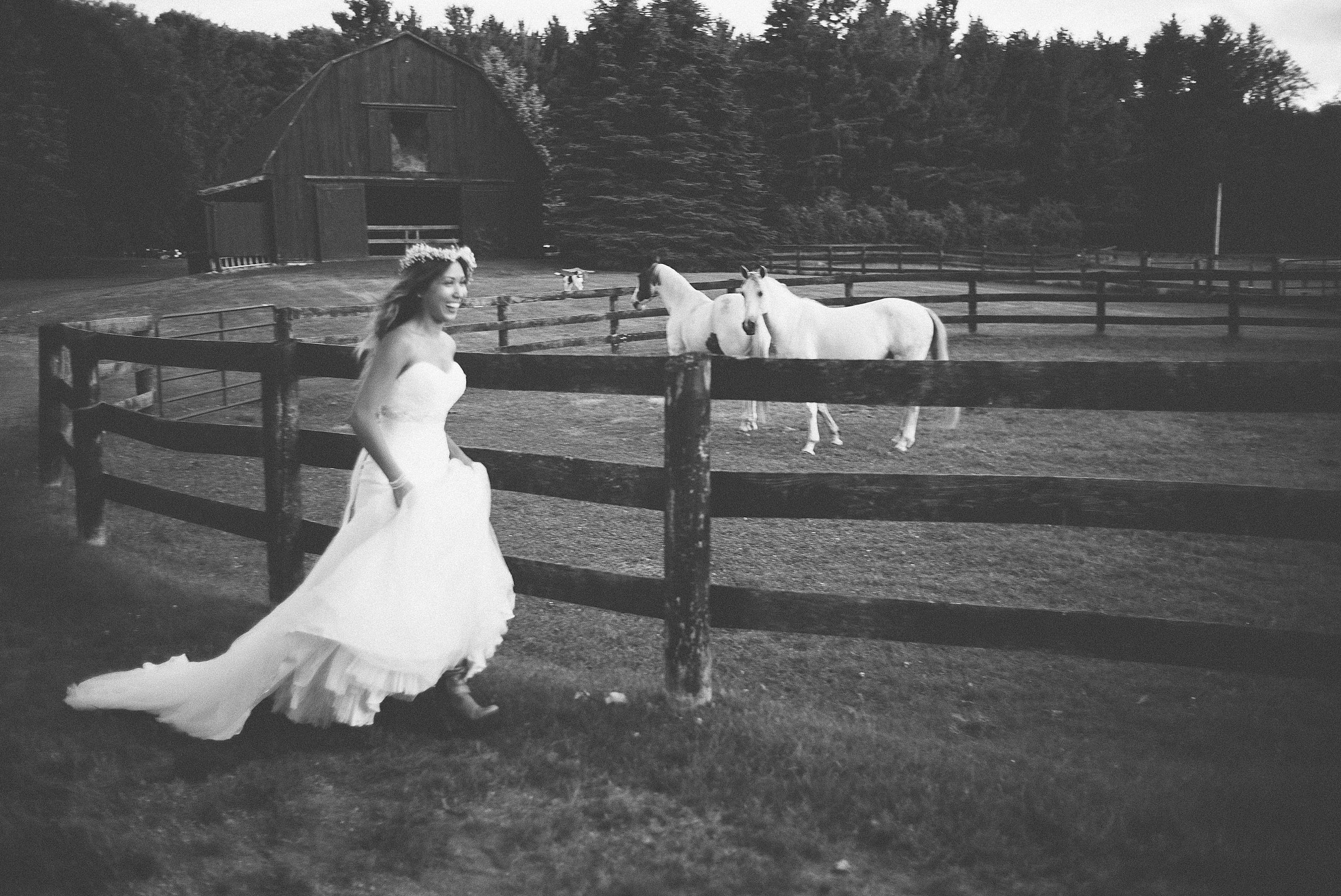 Summicron-M 1:2/35 sample photo. Equestrian bride photography