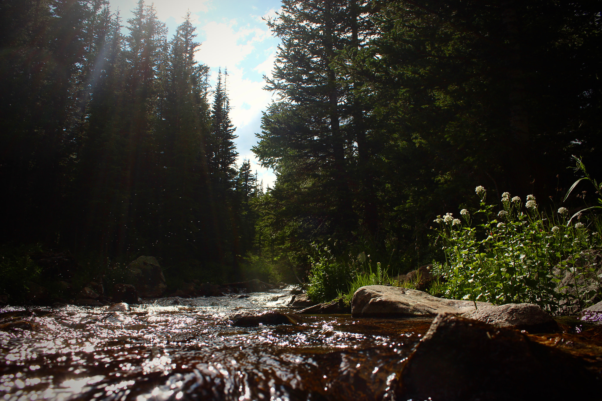 Canon EF-S 18-55mm F3.5-5.6 IS sample photo. River dance photography