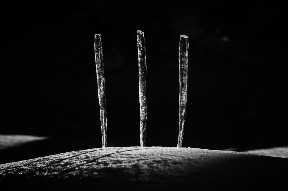 Nikon D50 sample photo. Some ice photography