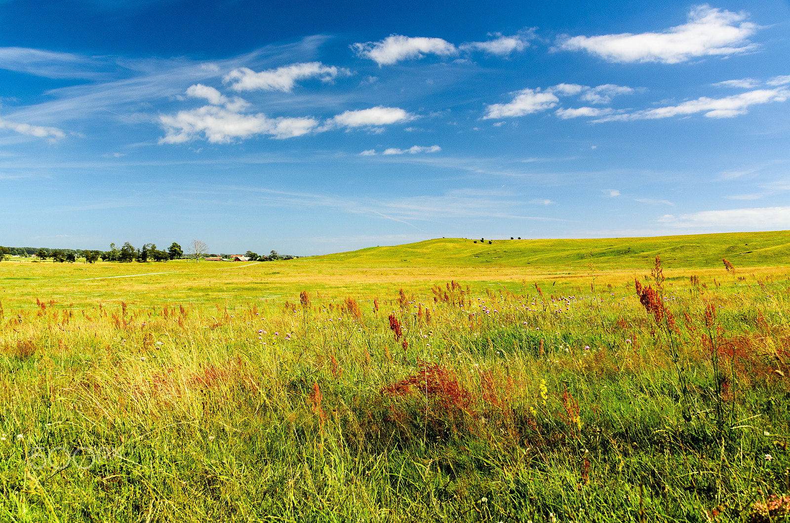 Nikon D7000 + Nikon PC-E Nikkor 24mm F3.5D ED Tilt-Shift sample photo. Fields at borrby strand photography