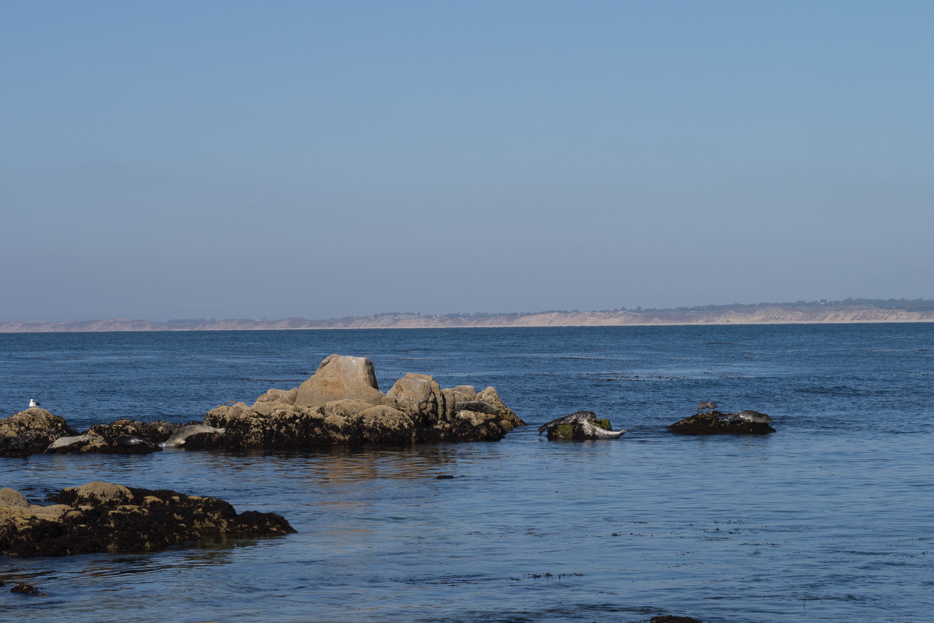Panasonic Lumix DMC-GX1 sample photo. 15361543916.jpg photography