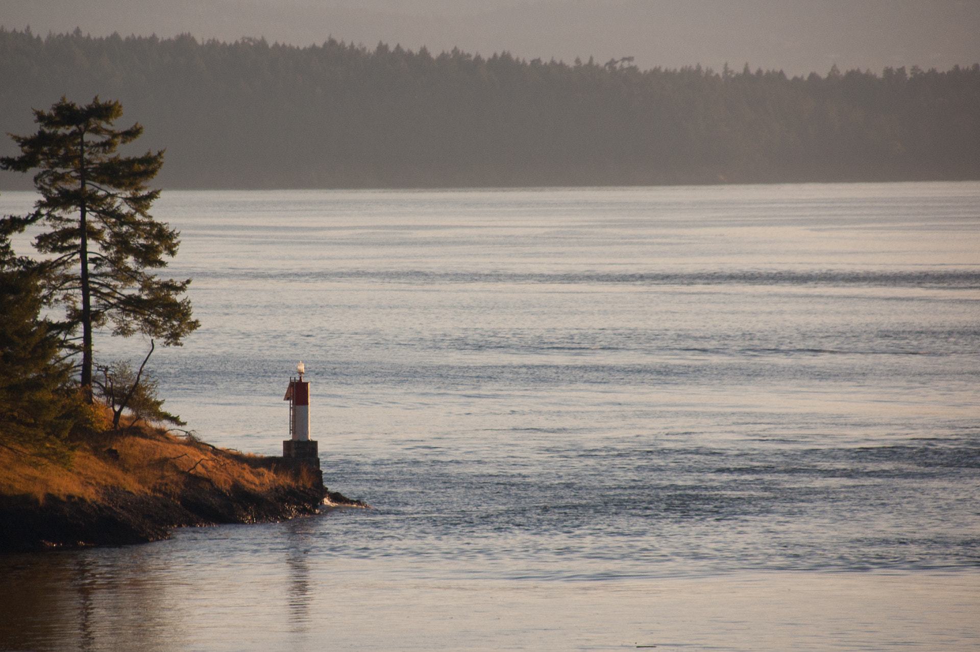 Sigma 18-200mm F3.5-6.3 DC OS HSM sample photo. 8175795257.jpg photography