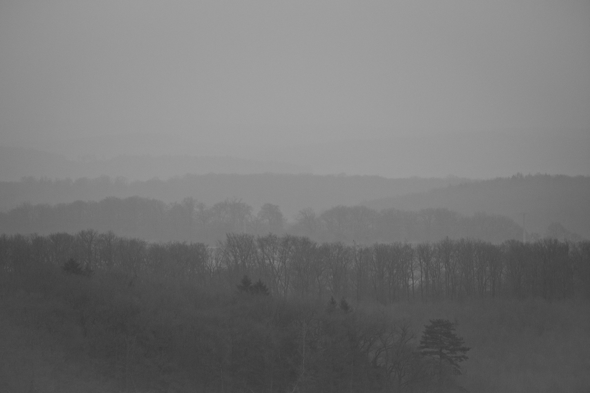 Panasonic Lumix DMC-GX1 sample photo. 6803444902.jpg photography