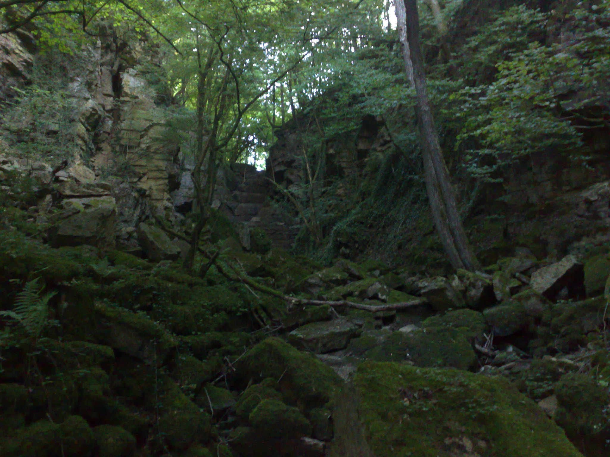 Nokia N95 8GB sample photo. 2625755302.jpg photography