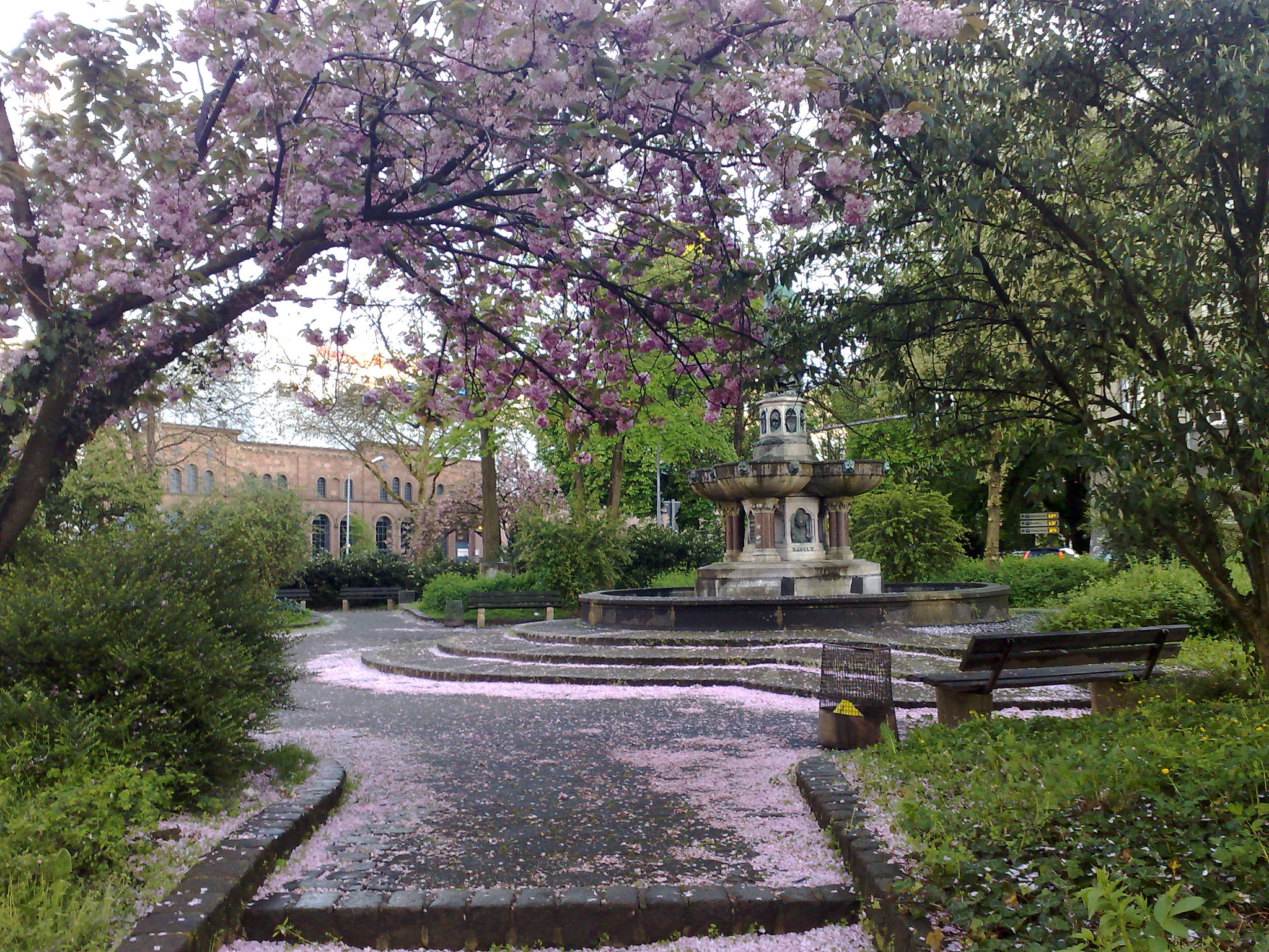 Nokia N95 8GB sample photo. 2456803582.jpg photography