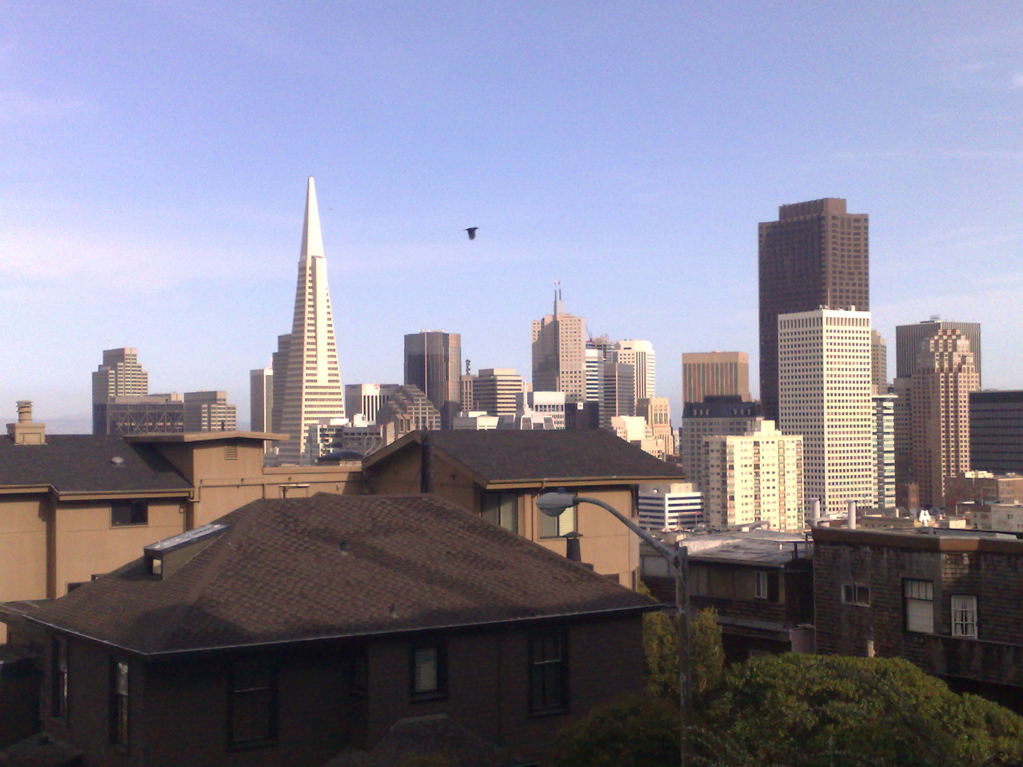 Nokia N95 8GB sample photo. 2390604135.jpg photography