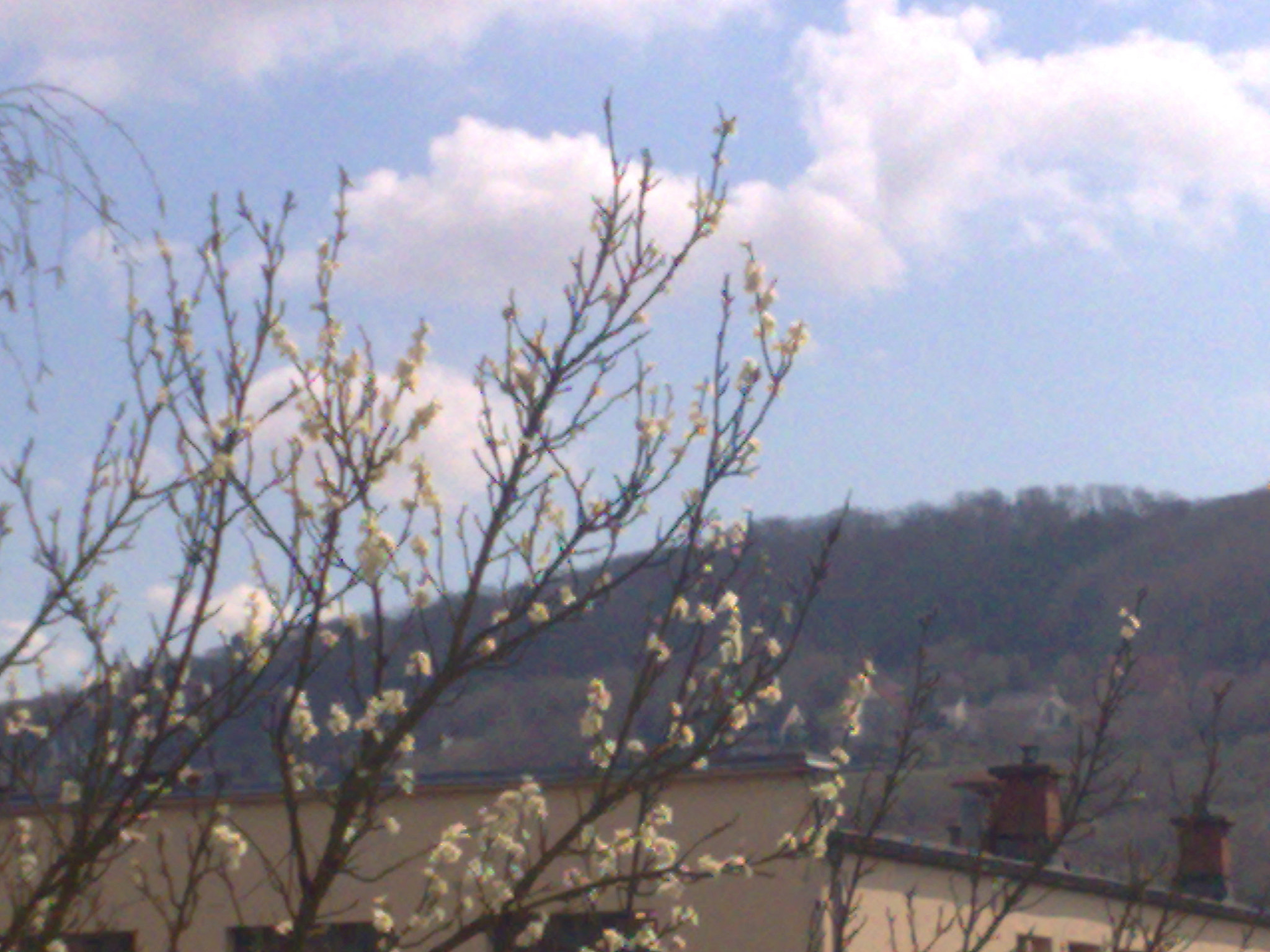 Nokia N95 8GB sample photo. 2380001730.jpg photography