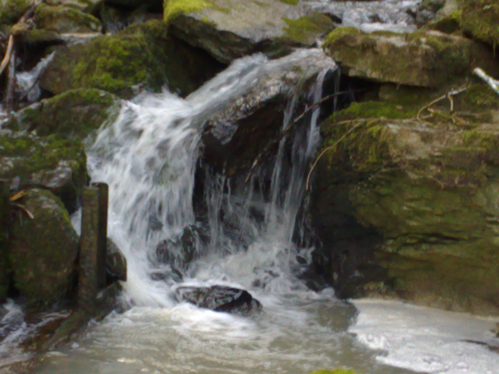 Nokia N95 8GB sample photo. 2361123277.jpg photography