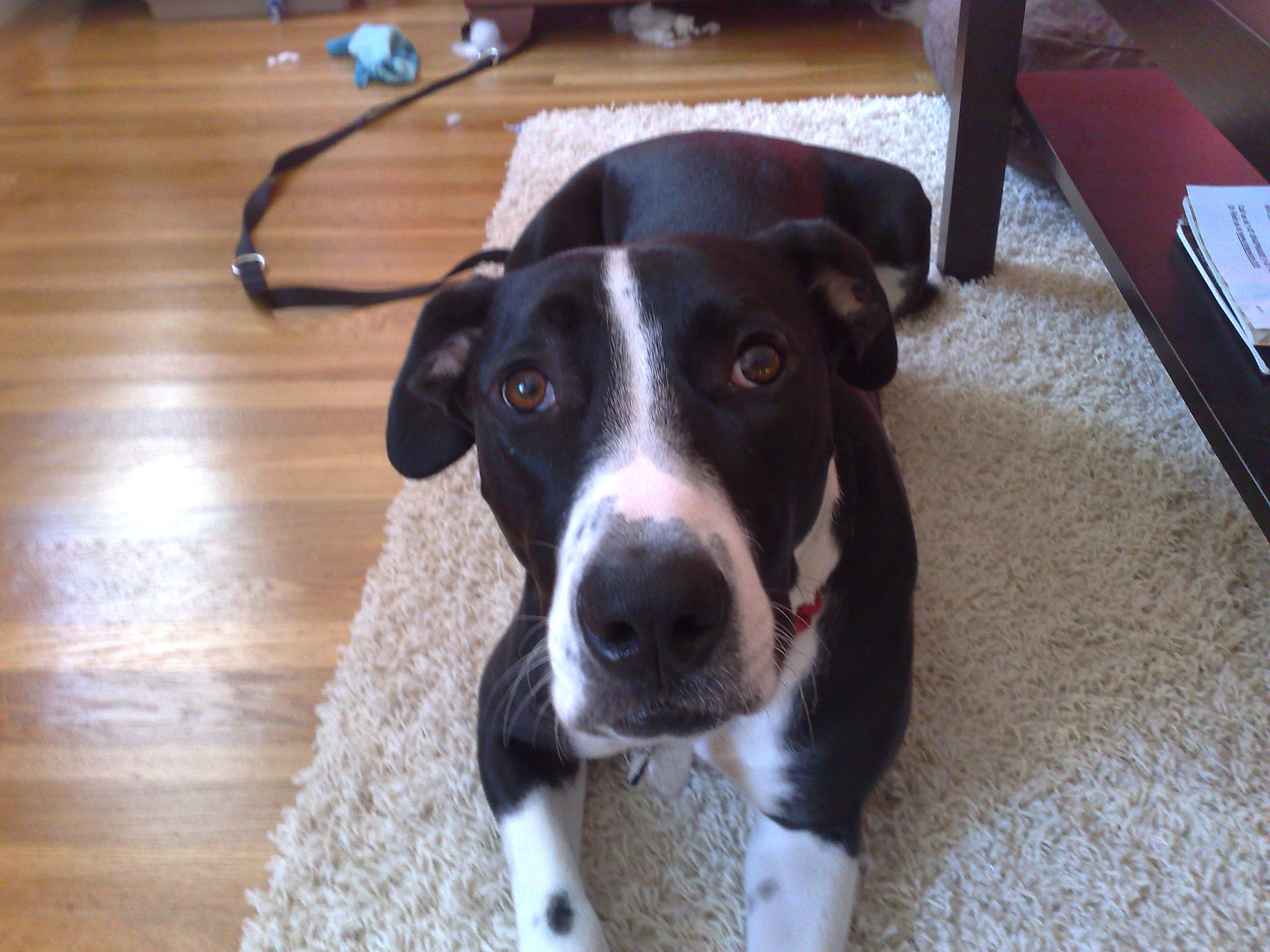 Nokia N95 8GB sample photo. 2242316131.jpg photography