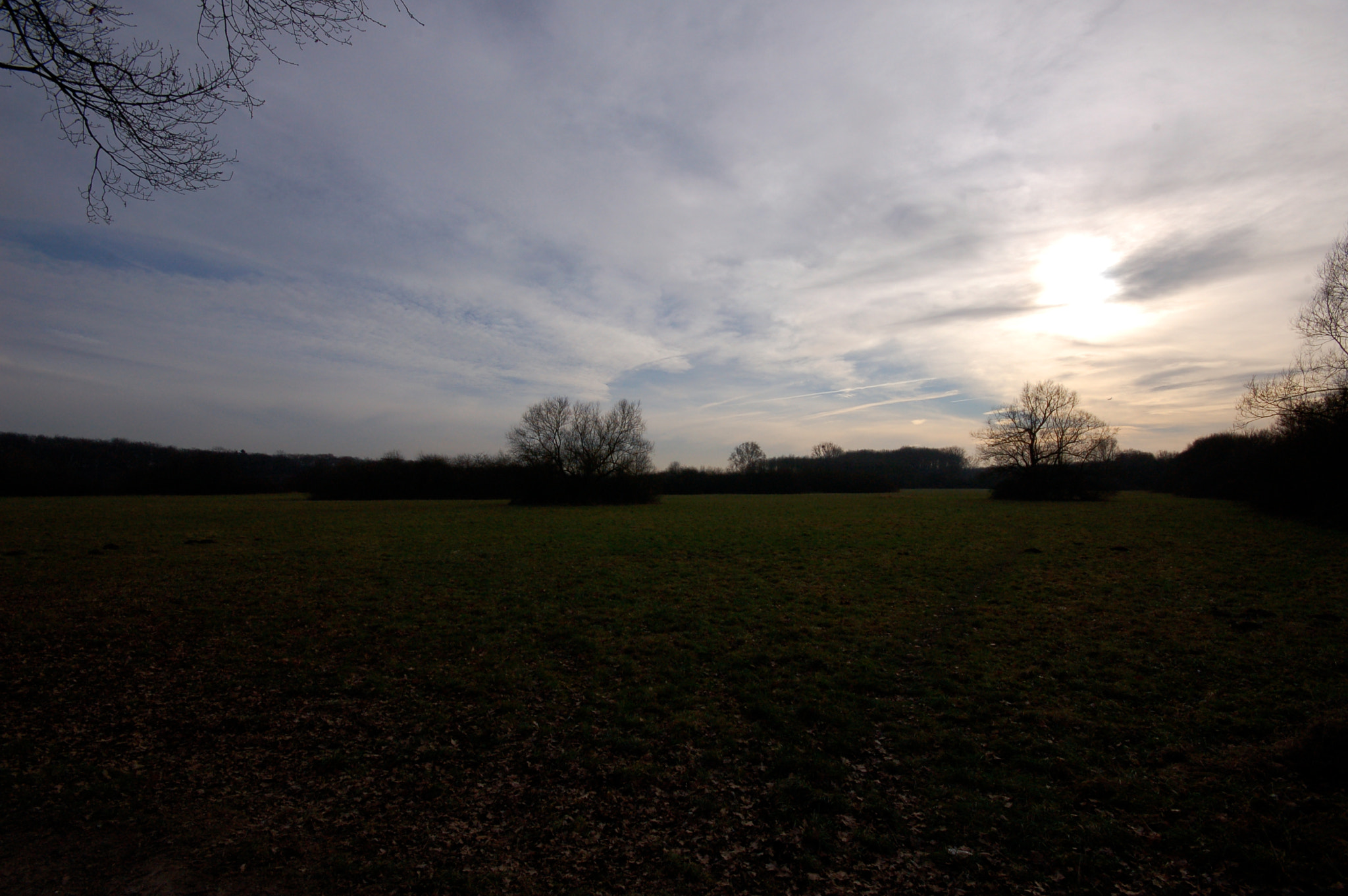Nikon D50 sample photo. 2135456800.jpg photography
