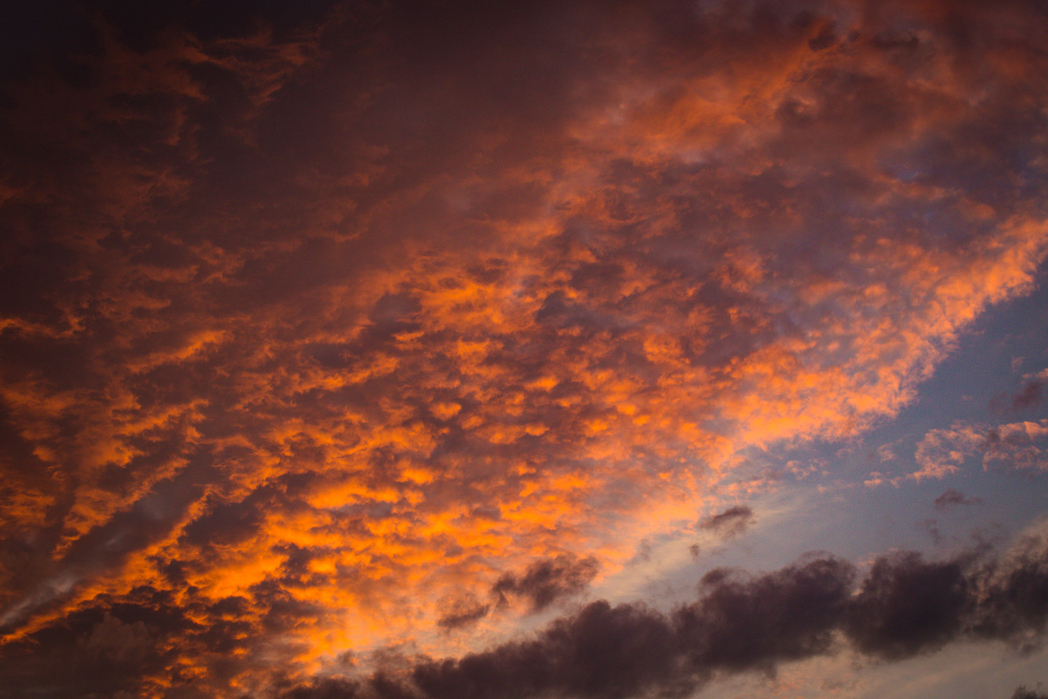 Canon EOS 6D + Canon EF 70-210mm f/4 sample photo. Montréal july dusk photography