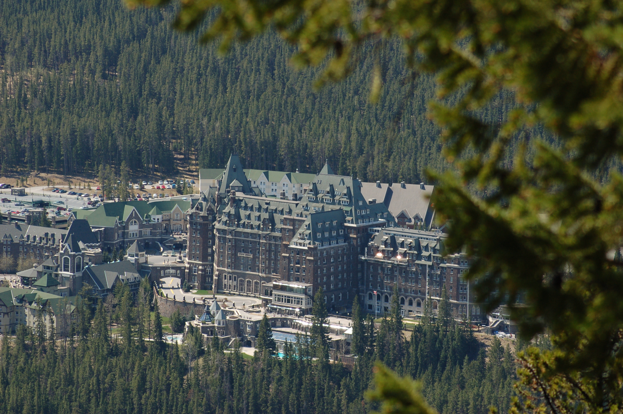 AF Zoom-Nikkor 70-300mm f/4-5.6D ED sample photo. 499631494.jpg photography