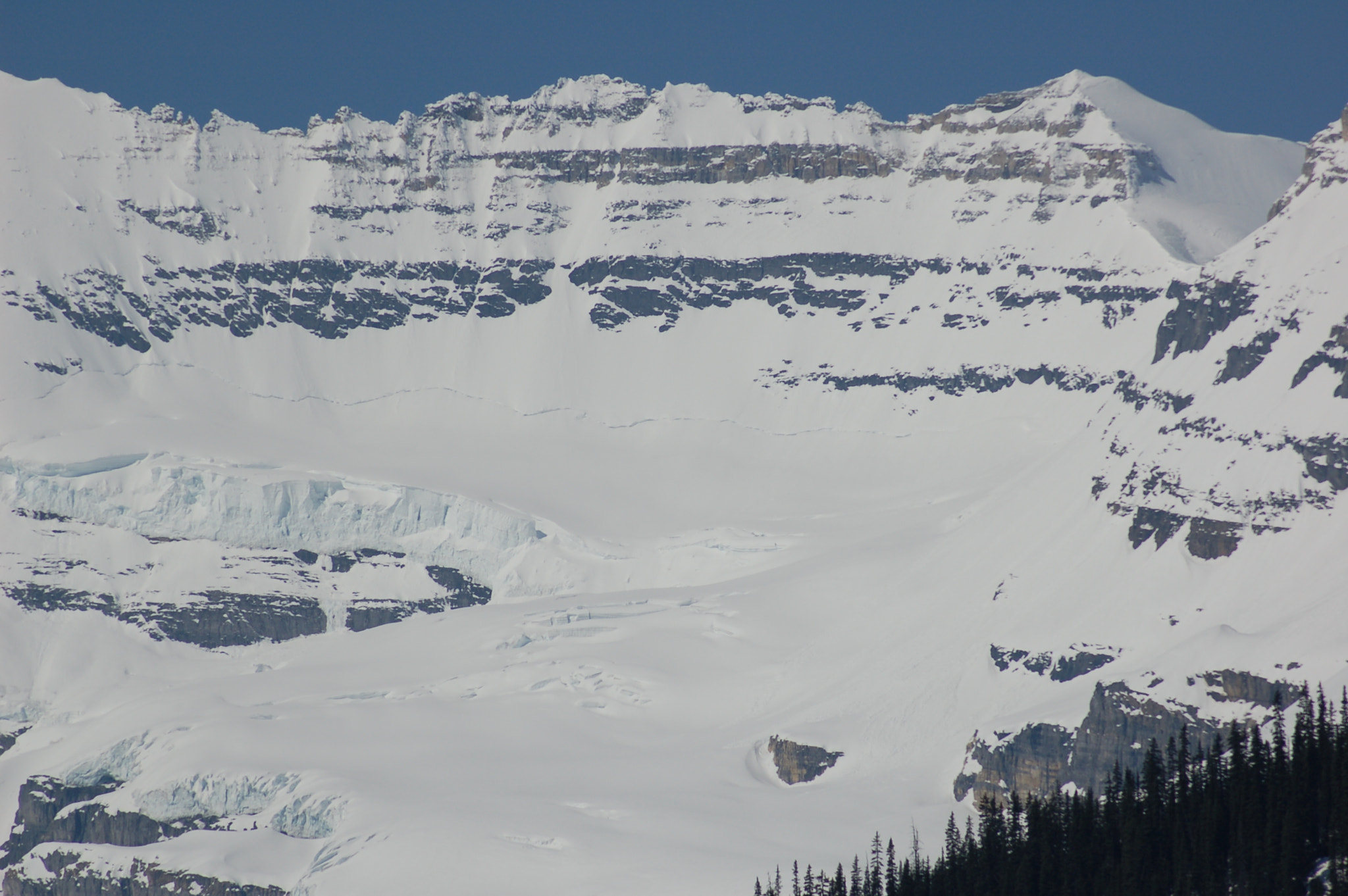 AF Zoom-Nikkor 70-300mm f/4-5.6D ED sample photo. 495289692.jpg photography
