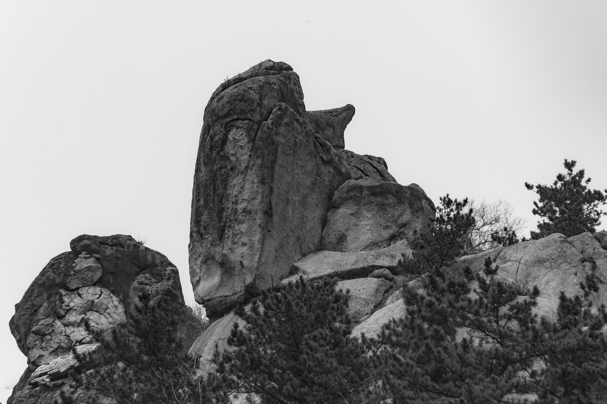 Canon EOS 40D sample photo. Hedgehog rock photography