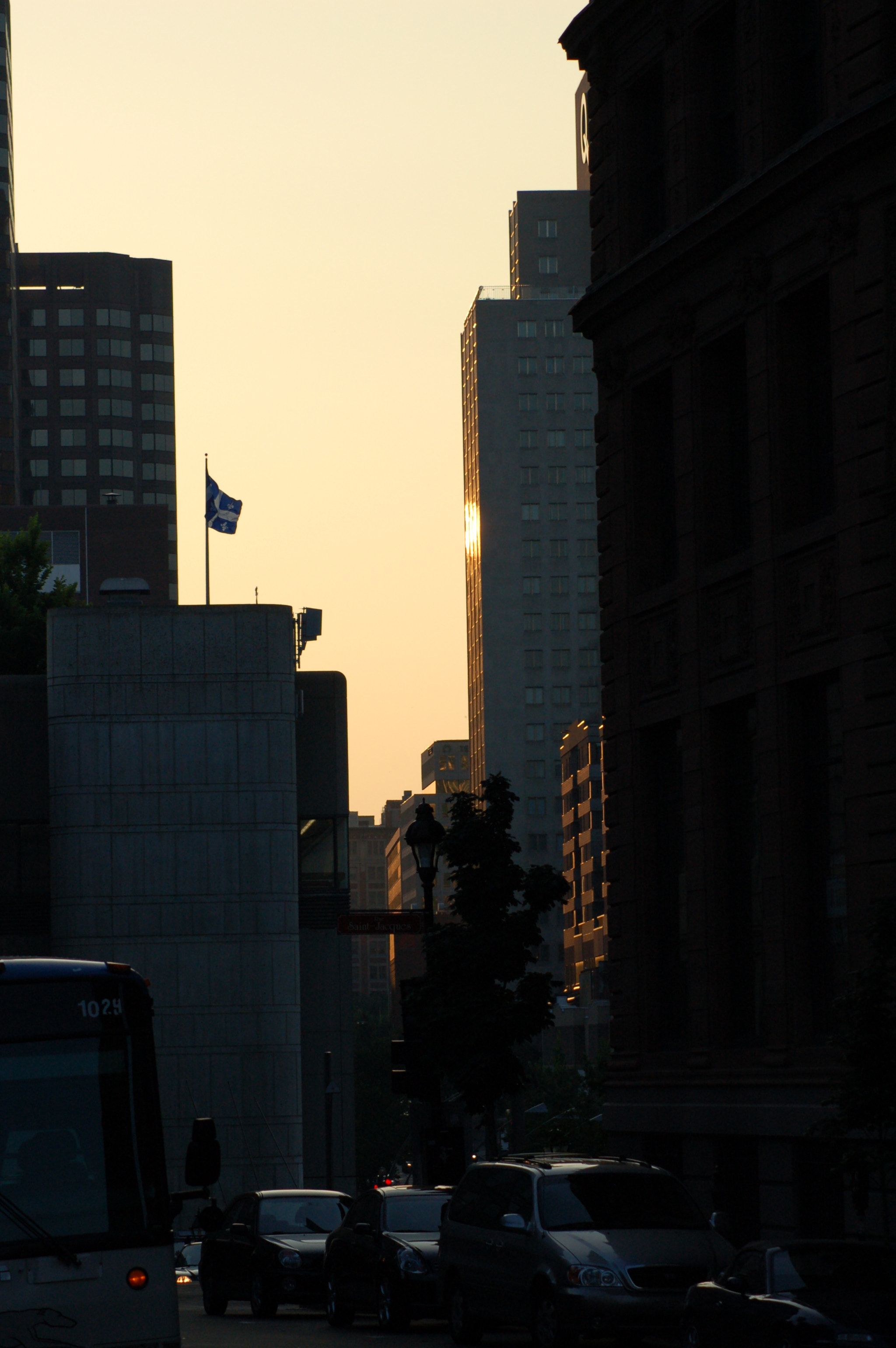 AF Zoom-Nikkor 70-300mm f/4-5.6D ED sample photo. 198018458.jpg photography