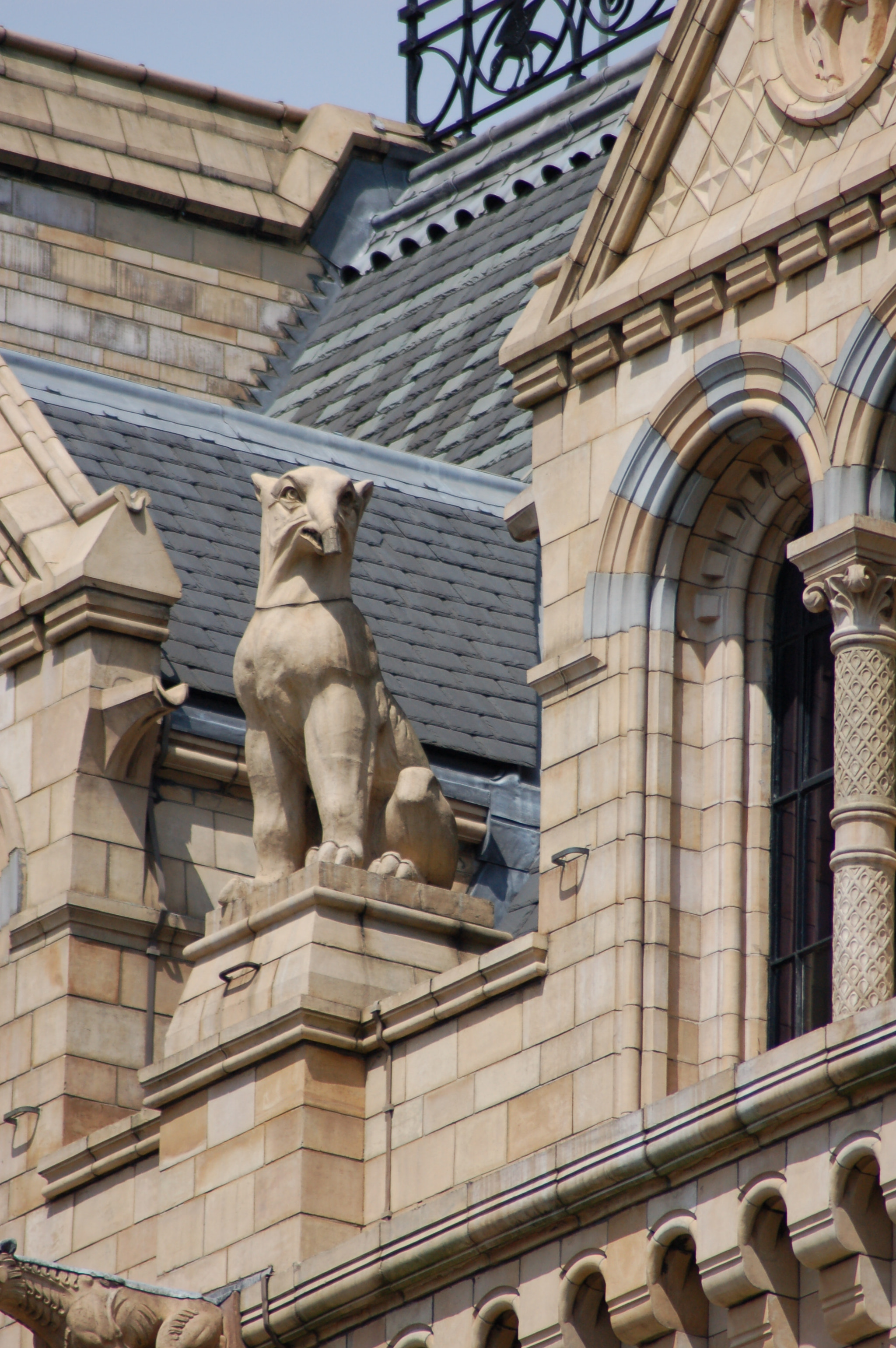 AF Zoom-Nikkor 70-300mm f/4-5.6D ED sample photo. 170839816.jpg photography
