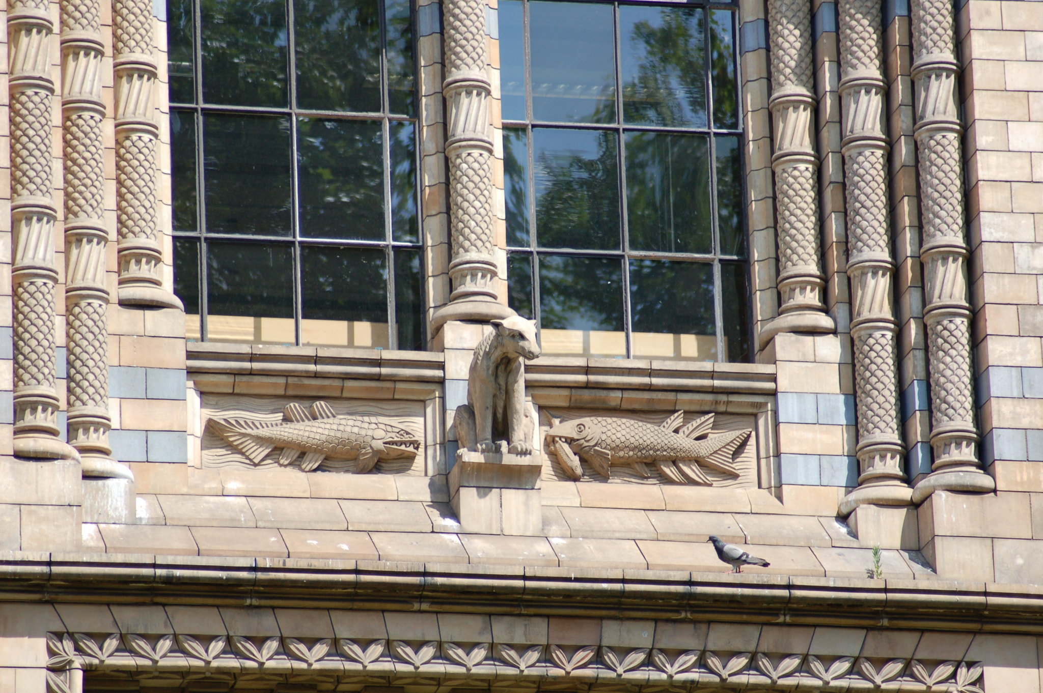 AF Zoom-Nikkor 70-300mm f/4-5.6D ED sample photo. 170836210.jpg photography