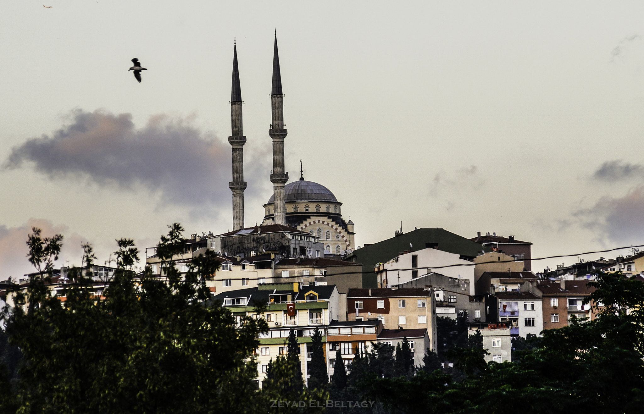 Canon EOS 600D (Rebel EOS T3i / EOS Kiss X5) + Canon TS-E 90mm F2.8 Tilt-Shift sample photo. One of the mosques in istanbul photography
