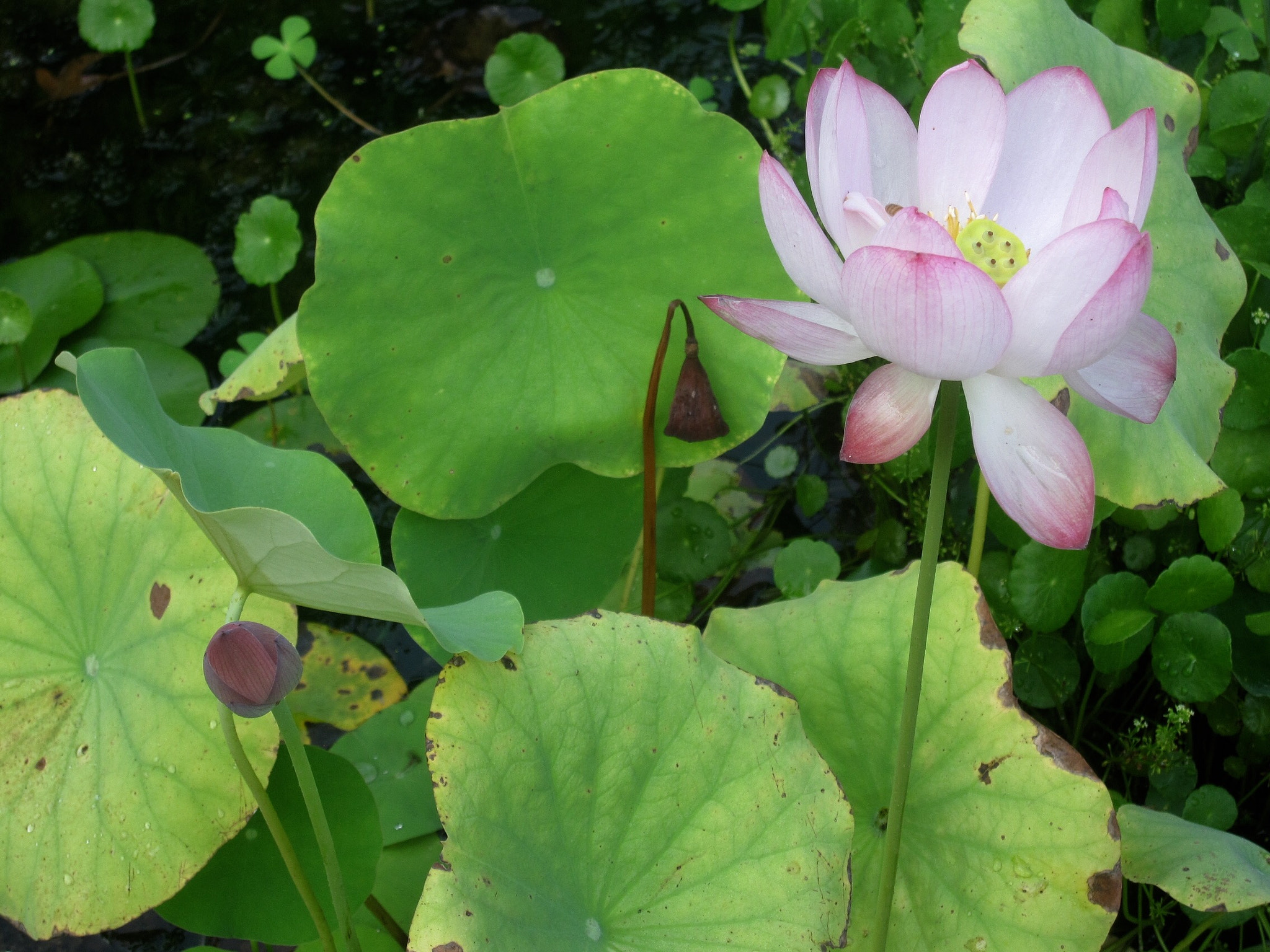 Canon PowerShot SD880 IS (Digital IXUS 870 IS / IXY Digital 920 IS) sample photo. The moment 当下 photography